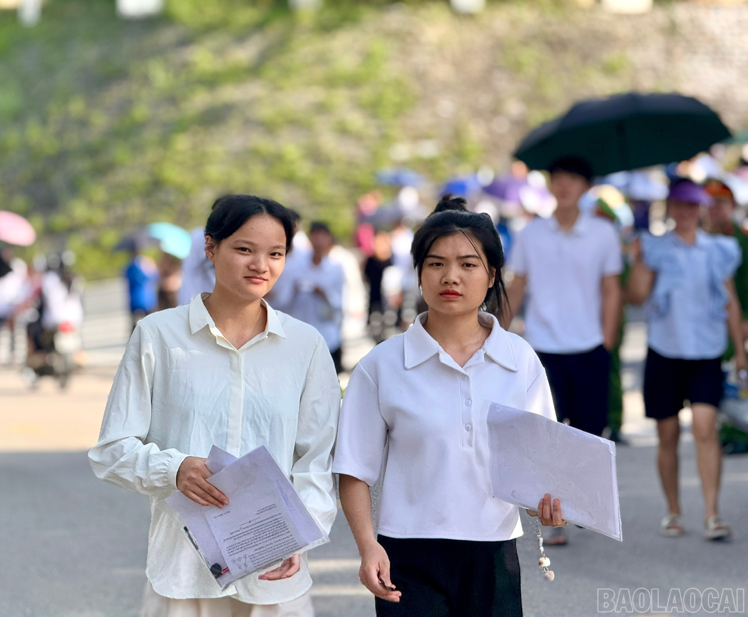 baolaocai-br_z6744843592001-9fb9acb21c2c3d46366971d746e99ca7.jpg