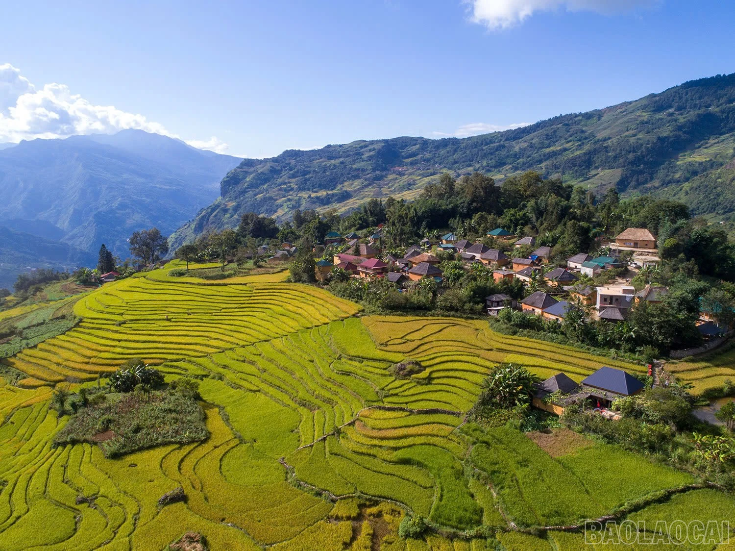 Ruộng bậc thang ở Y Tý ôm trọn bản nhỏ, tạo nên khung cảnh thanh bình, no ấm.