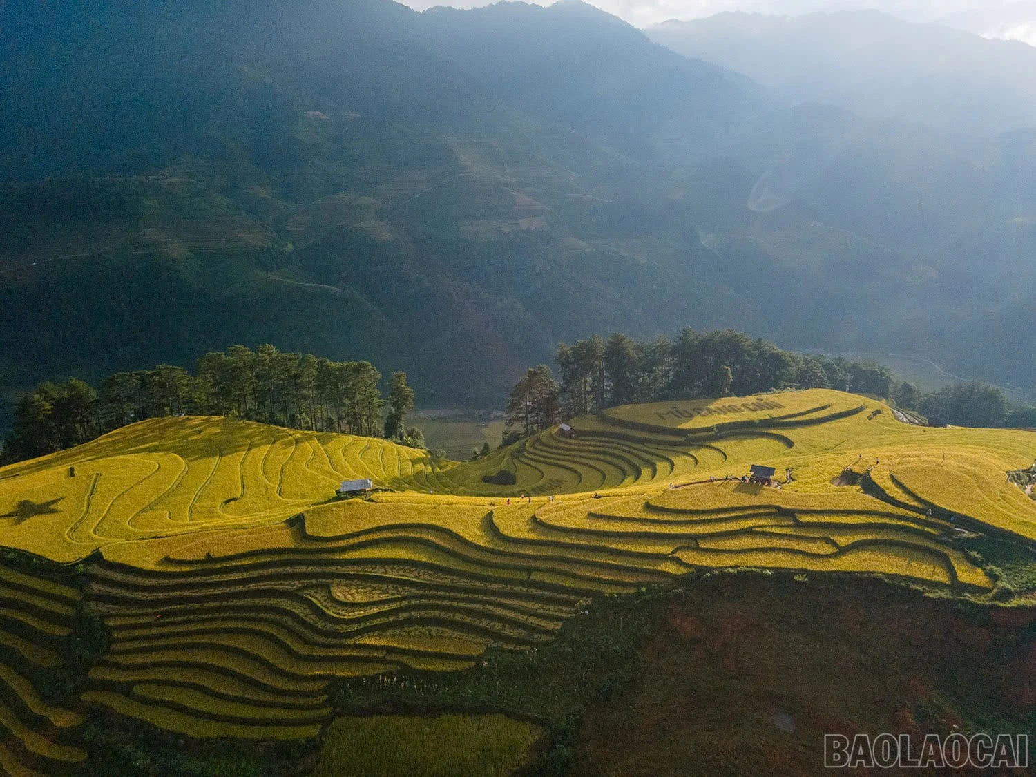Những thửa ruộng bậc thang tựa như vân núi, tạo nên nét đẹp độc đáo mang đặc trưng của vùng cao Tây Bắc.