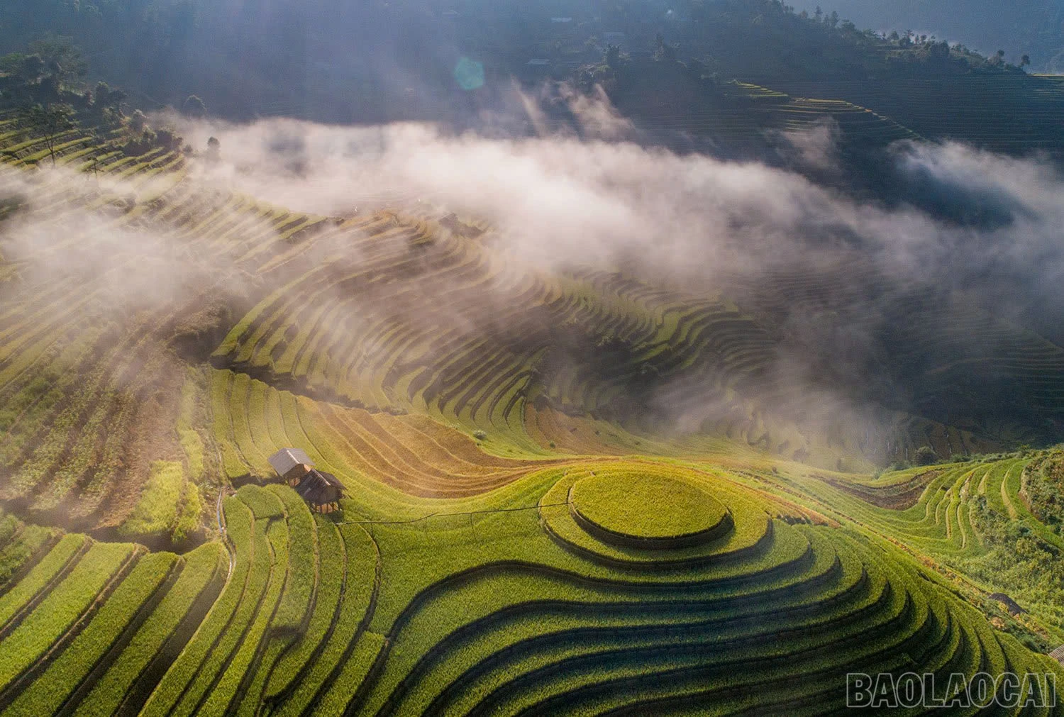 Cùng với đồi Móng Ngựa, Mâm Xôi cũng là biểu tượng ruộng bậc thang Mù Cang Chải.