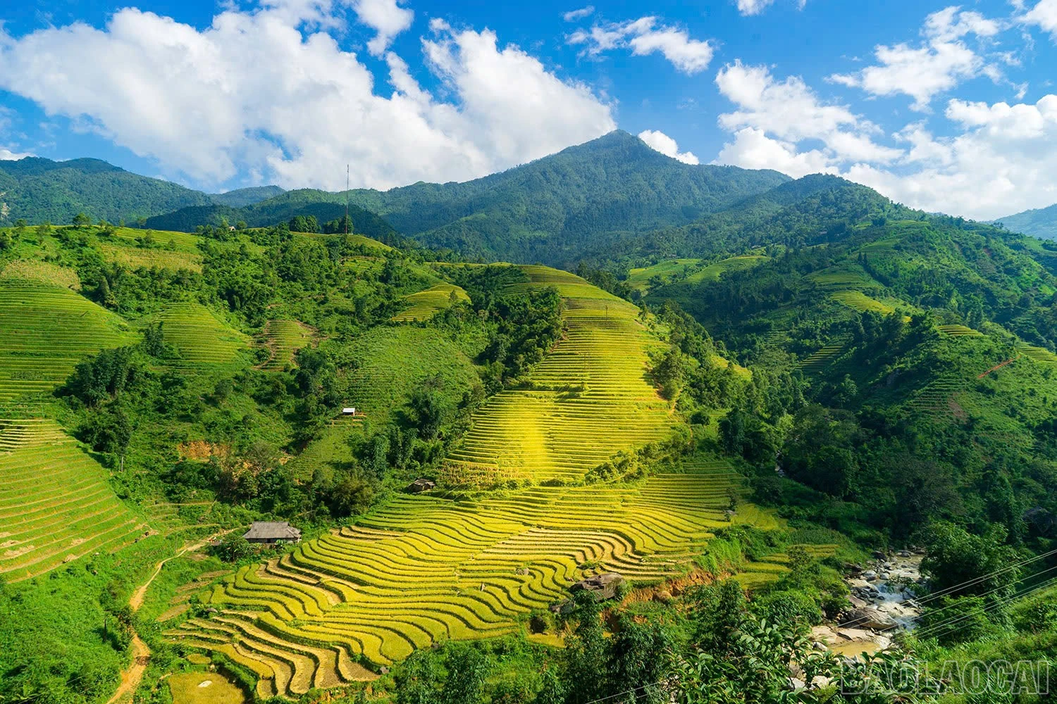 Ruộng bậc thang xã Tả Phìn cao nhất Việt Nam với 121 bậc ruộng.