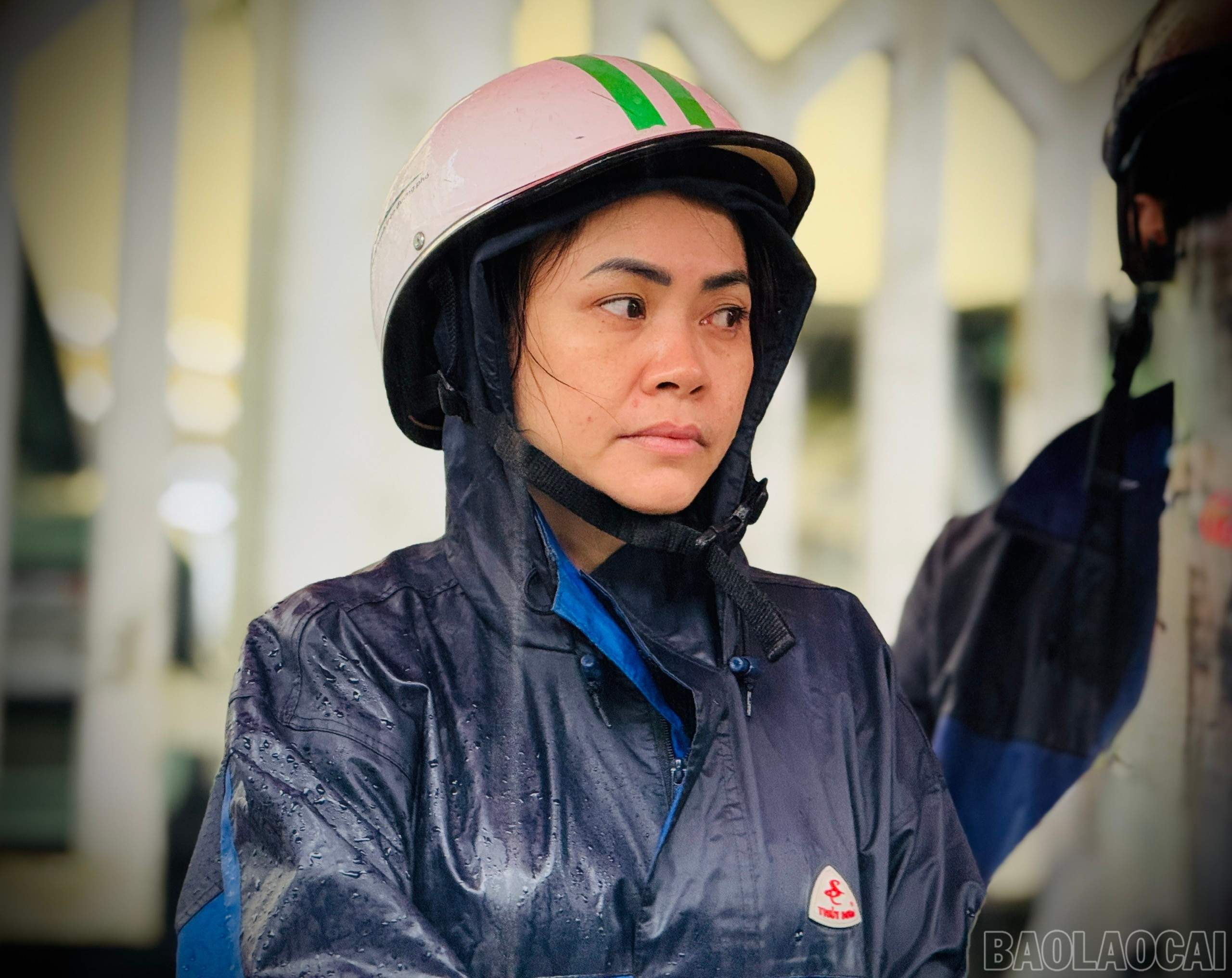 baolaocai-br_z6747805419194-dbf18915769f95294311527da2368de4.jpg