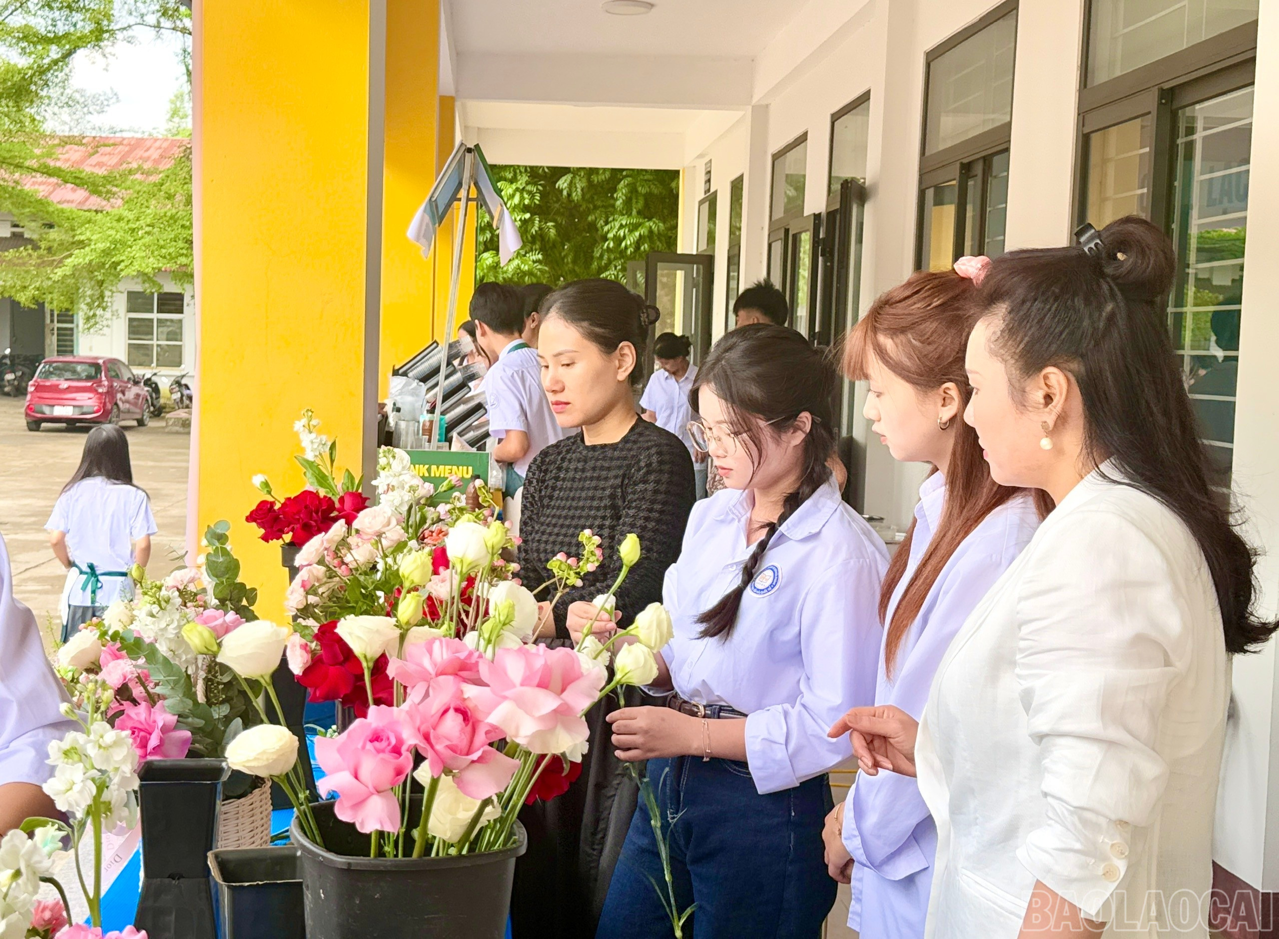 baolaocai-br_z7153965411213-2fdd519249fccdb7e5dabc9e146cfab0.jpg