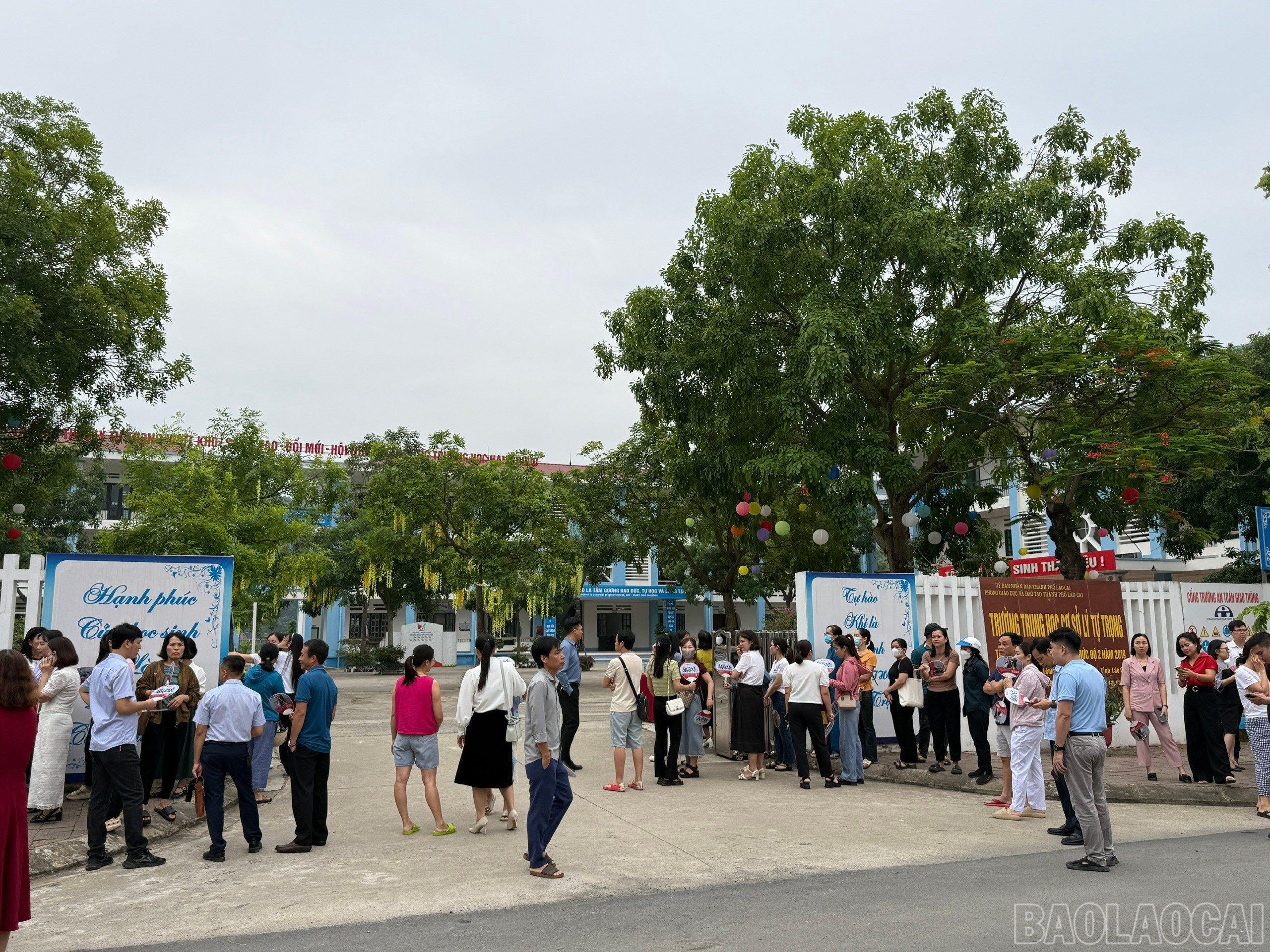 baolaocai-br_z6642827496368-f631fafd1f6bf3f512bdde303bb09d4d.jpg