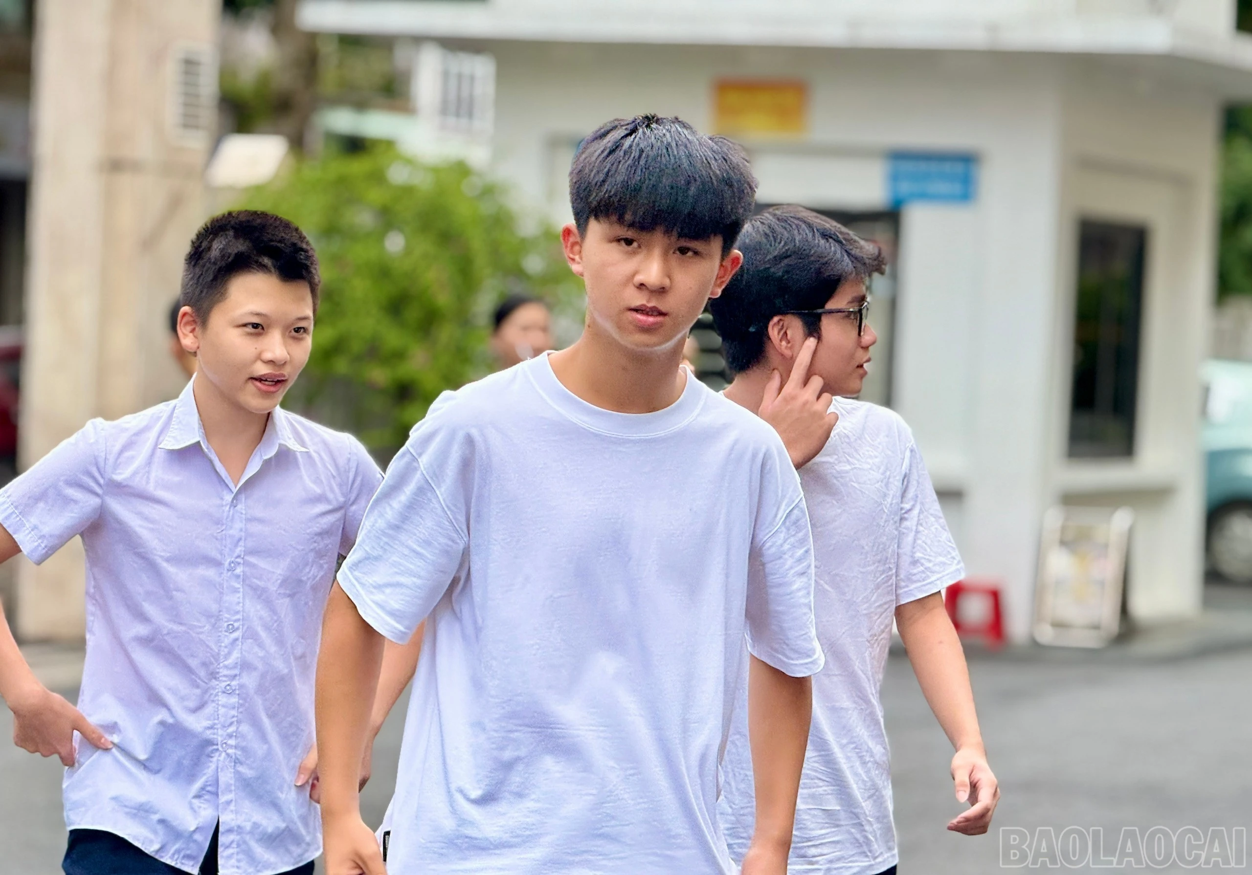 baolaocai-br_z6668260359109-033a32b758dfa9e2a5bf90f875559f23.jpg