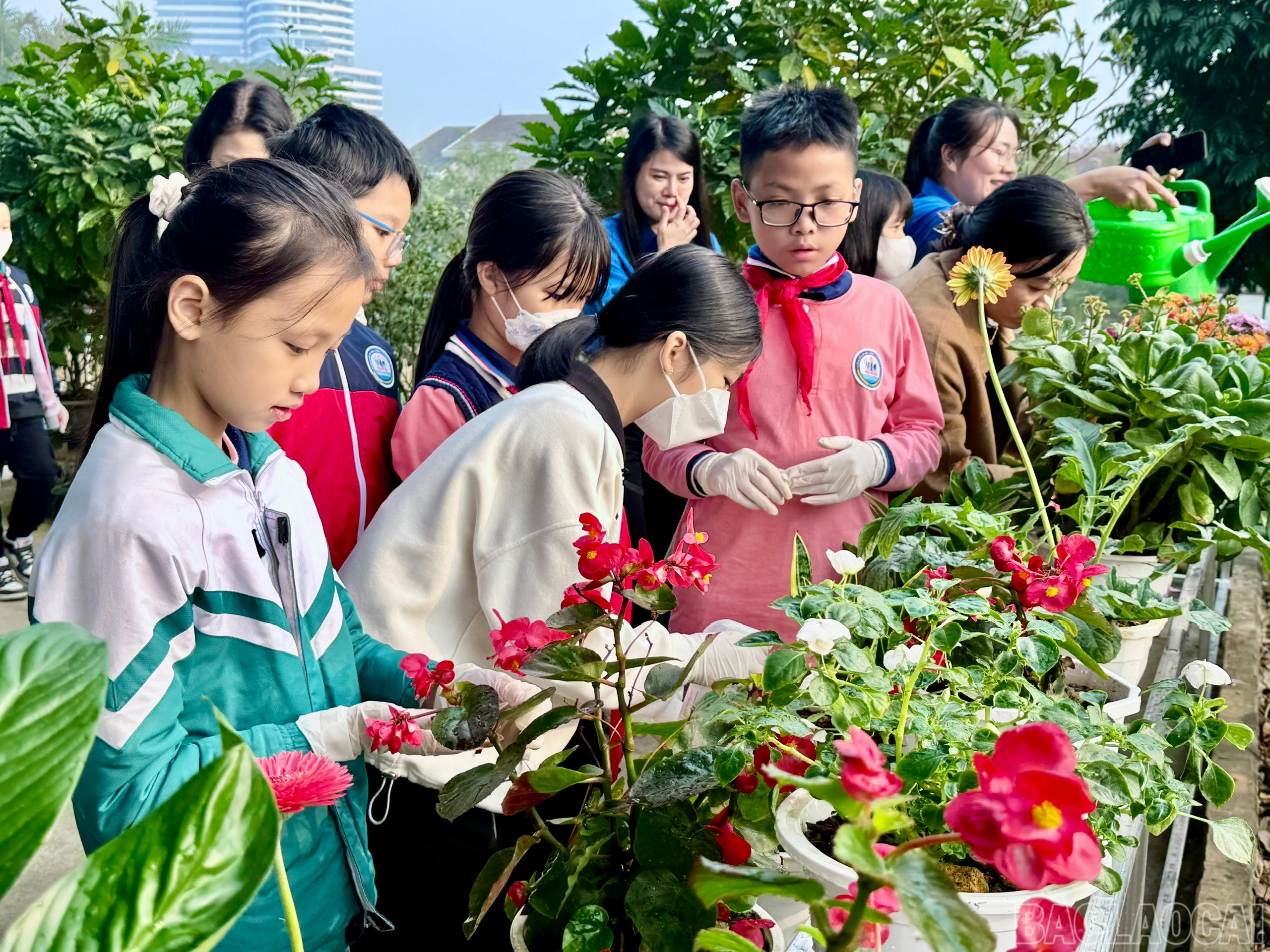 Đại biểu, thầy - cô giáo, phụ huynh và học sinh tham gia trồng cây, chăm sóc cây xanh. baolaocai-br_z6192433176419-c9a39c62853d741208f36fc0e2729f52.jpg