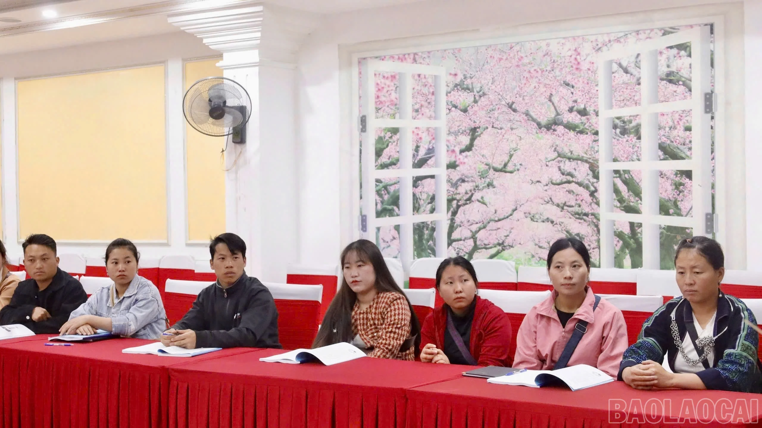 baolaocai-br_z6597139504549-8ef73af4773947ce004e5932155e7b5d.jpg