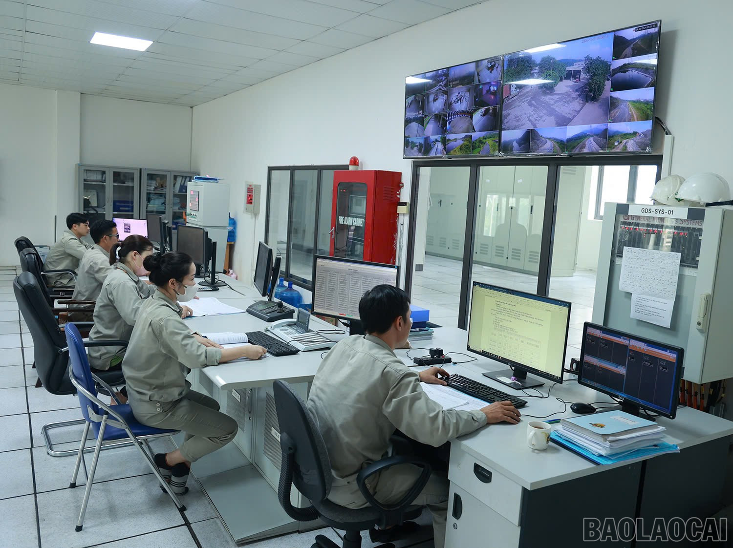 baolaocai-br_z6595338072394-caa10848a5e0bf30804da10d94ac49f6.jpg