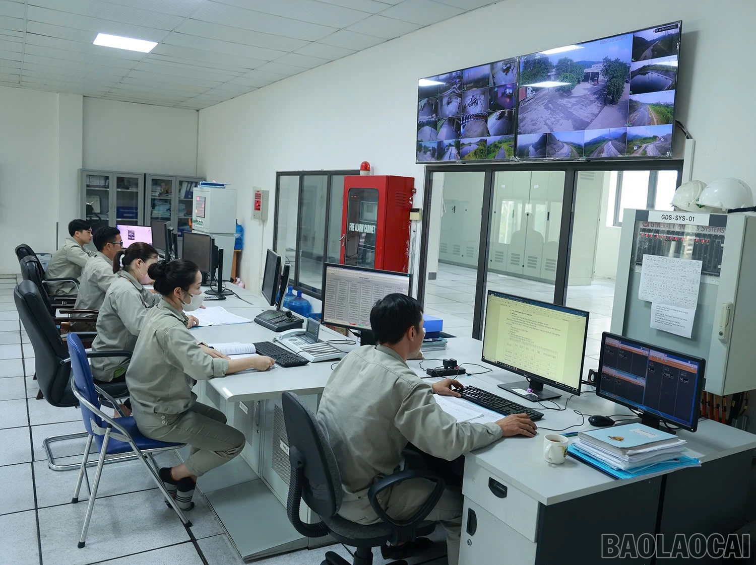 baolaocai-br_z6595338072394-caa10848a5e0bf30804da10d94ac49f6.jpg