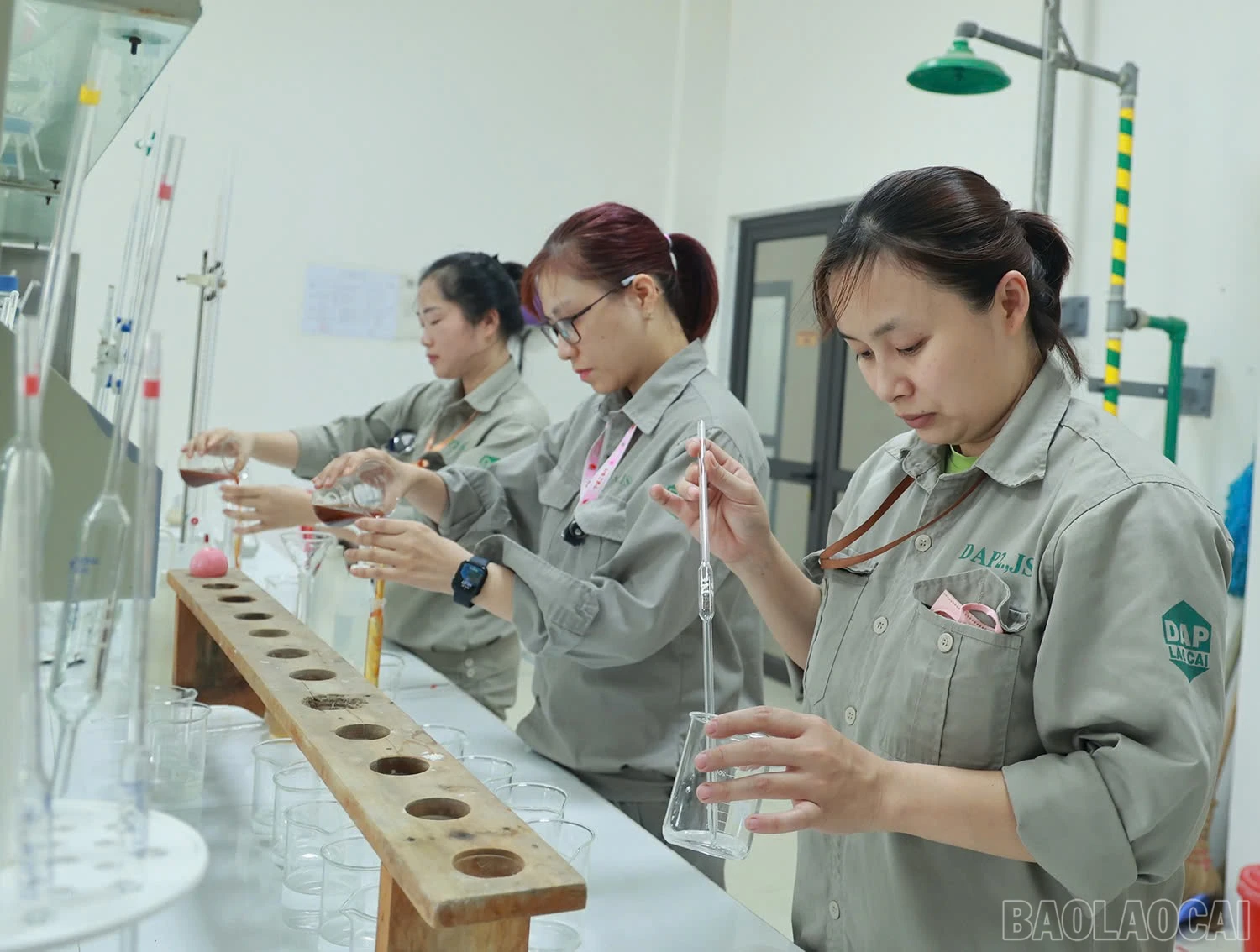 baolaocai-br_z6595338086995-94d14eb899086213b39385a50475795f.jpg