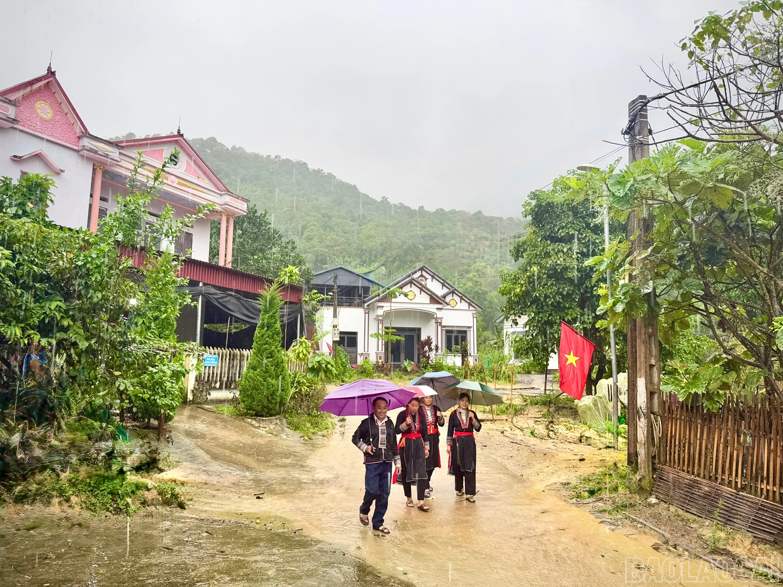 baolaocai-br_z7070018766378-7fdbab7e5332a7e2f6c3797606e72625.jpg