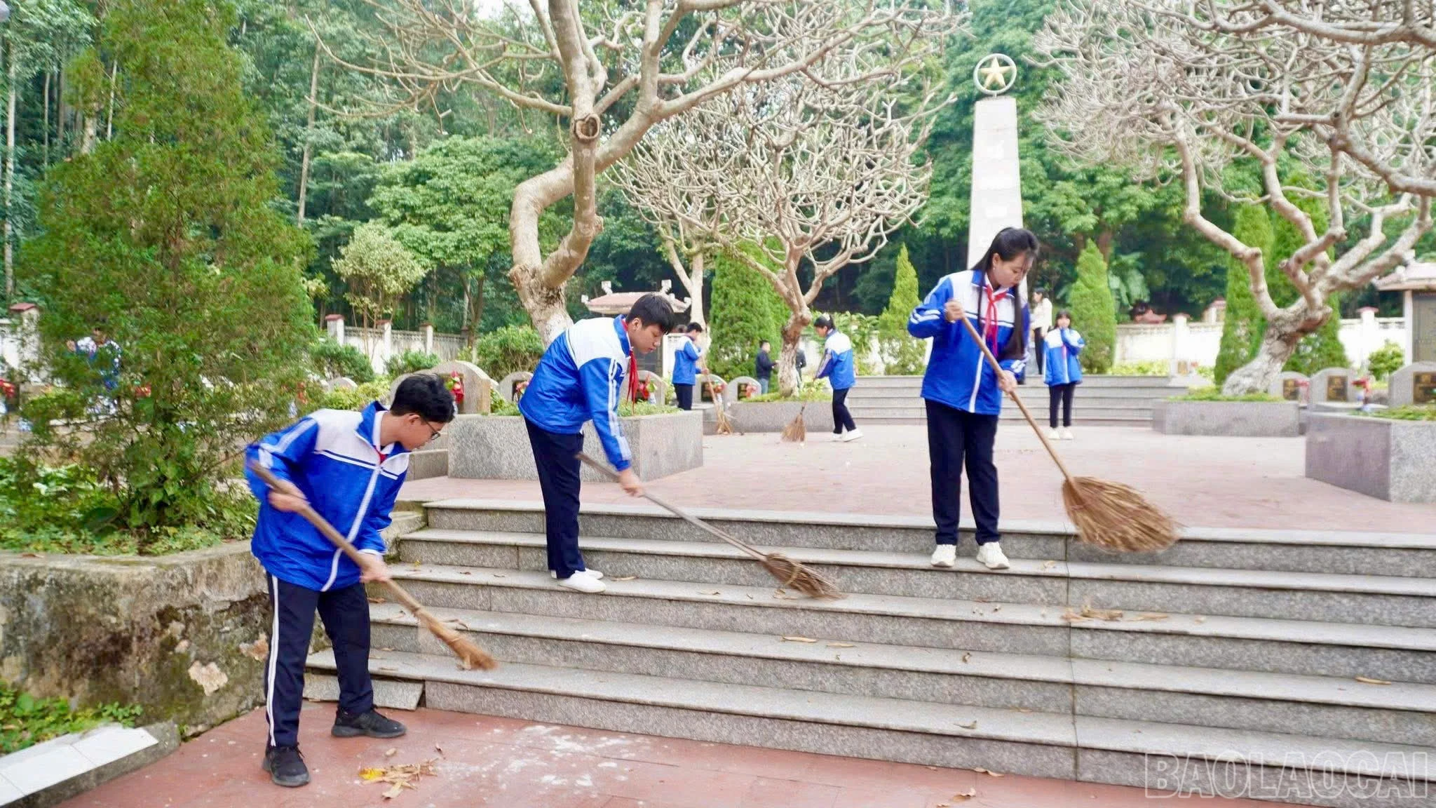 baolaocai-br_z7354375271821-ad250804c7679262e9ca6a2c5b682b04.jpg