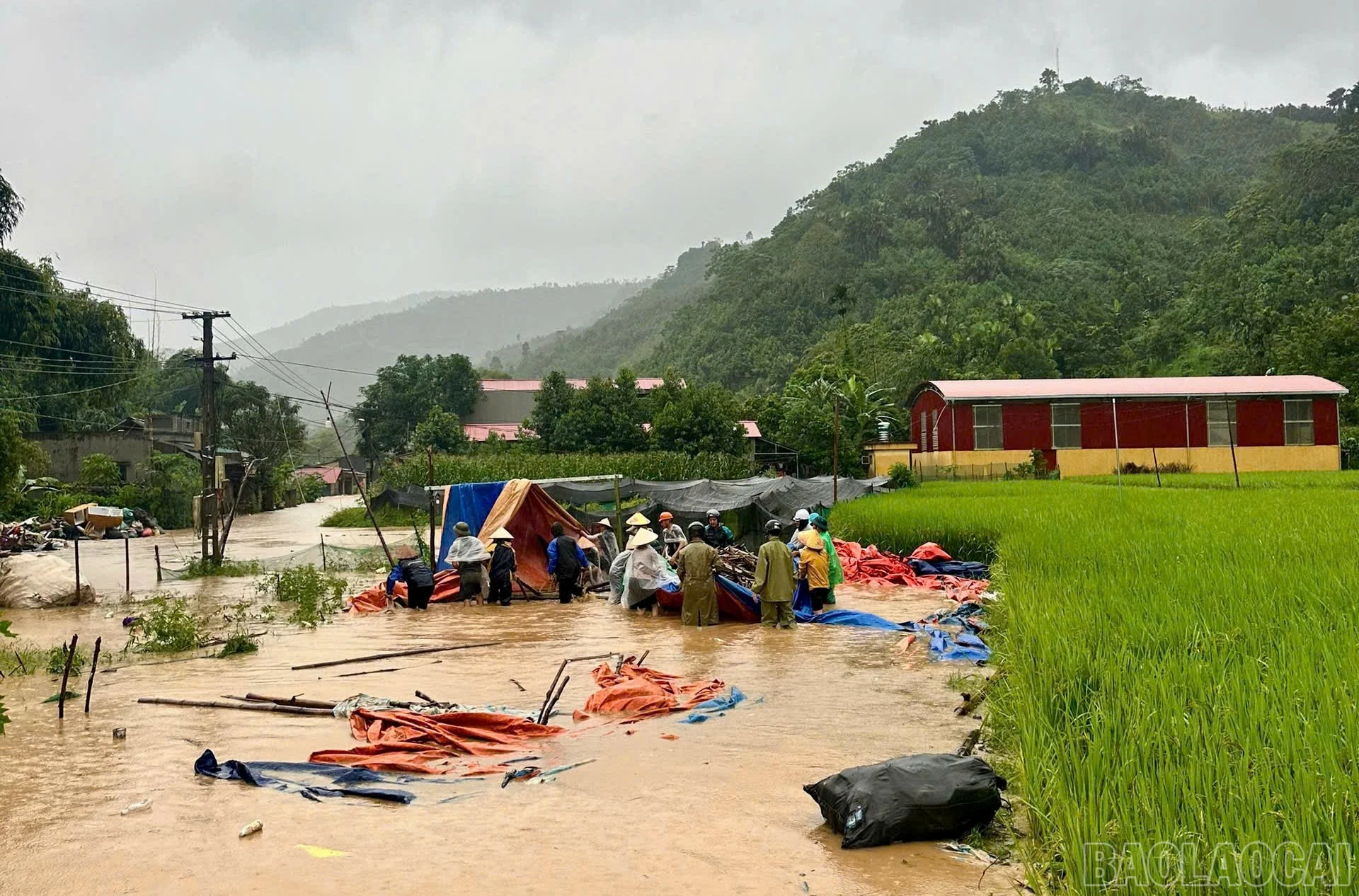 Mưa lớn gây ngập úng cục bộ tại một số điểm trên địa bàn xã Phong Dụ Hạ.
