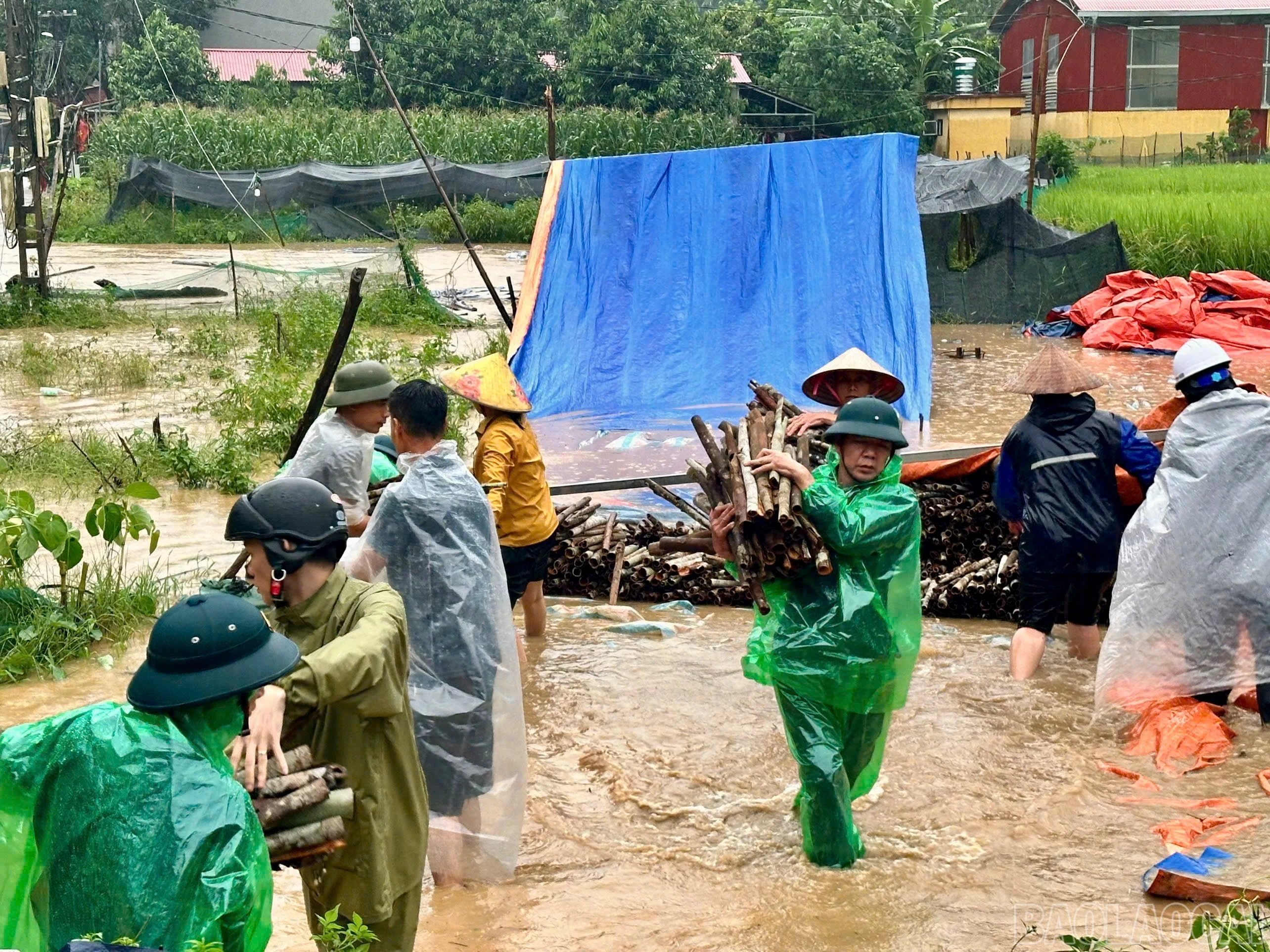 Các lực lượng hỗ trợ Nhân dân di chuyển quế ra khỏi vùng mưa lũ.