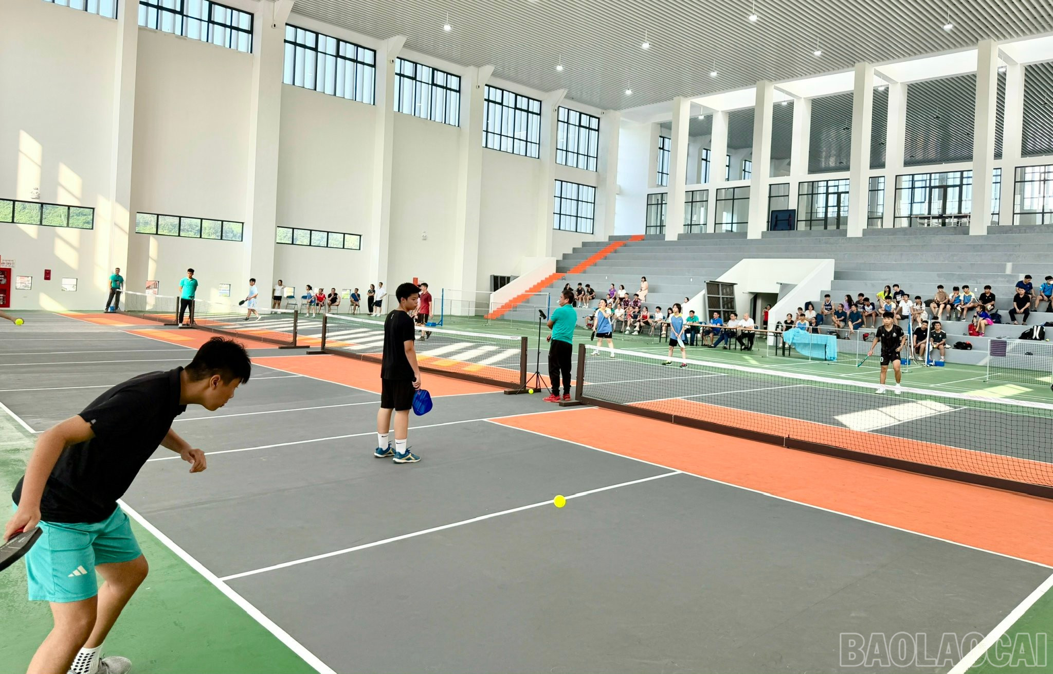baolaocai-br_z7084957984527-aaa1c5621ab6b81c3ac80b50cc29efd2.jpg