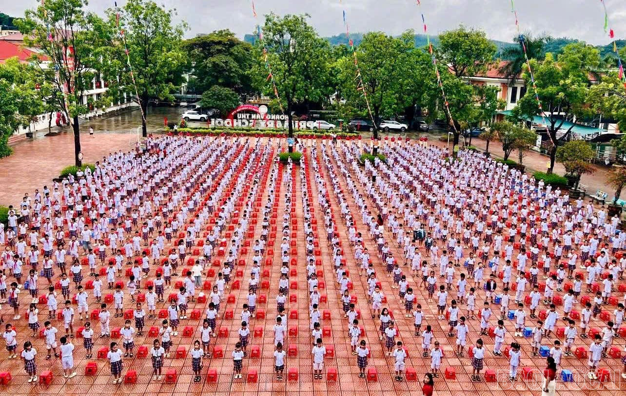 baolaocai-br_z6970216179235-3d93c660b74402a38a35a42670751939.jpg