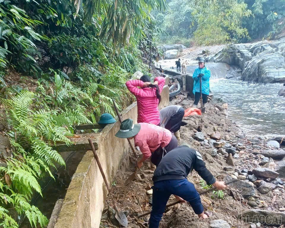 baolaocai-br_z7135144426776-4caf3c99f98c56557ebd8983268d5eba.jpg
