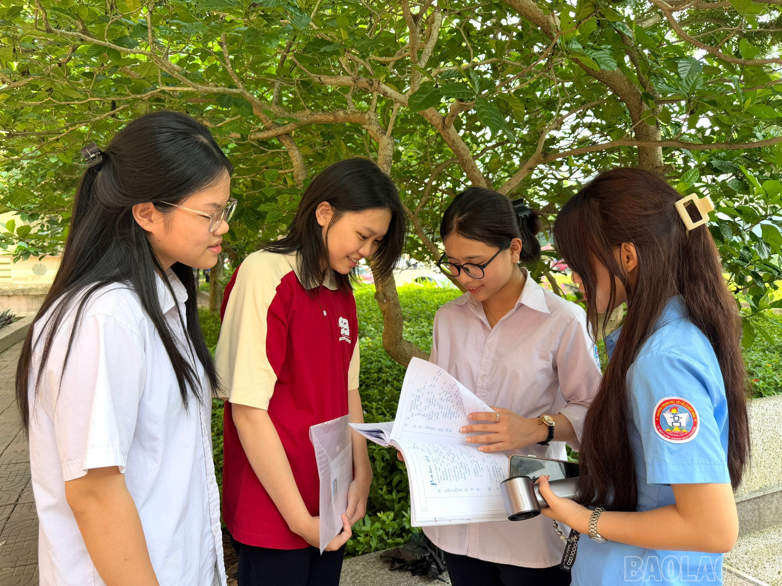 baolaocai-br_z6677267085605-c813d3529dc50437cb38e0d5ab9f0411.jpg