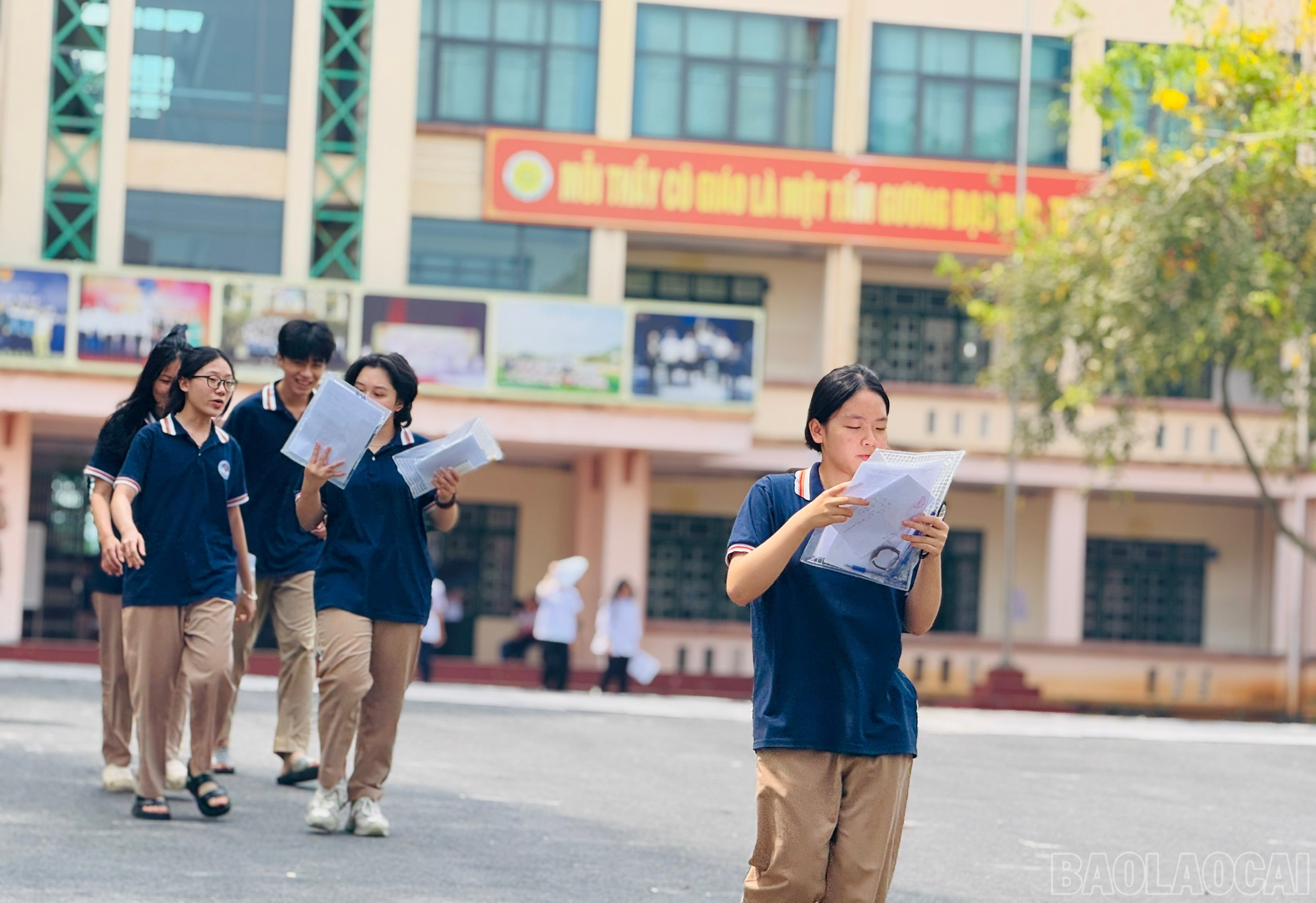 baolaocai-br_z6677269970138-c2364eaf138cb37034c3a7c92d139175.jpg