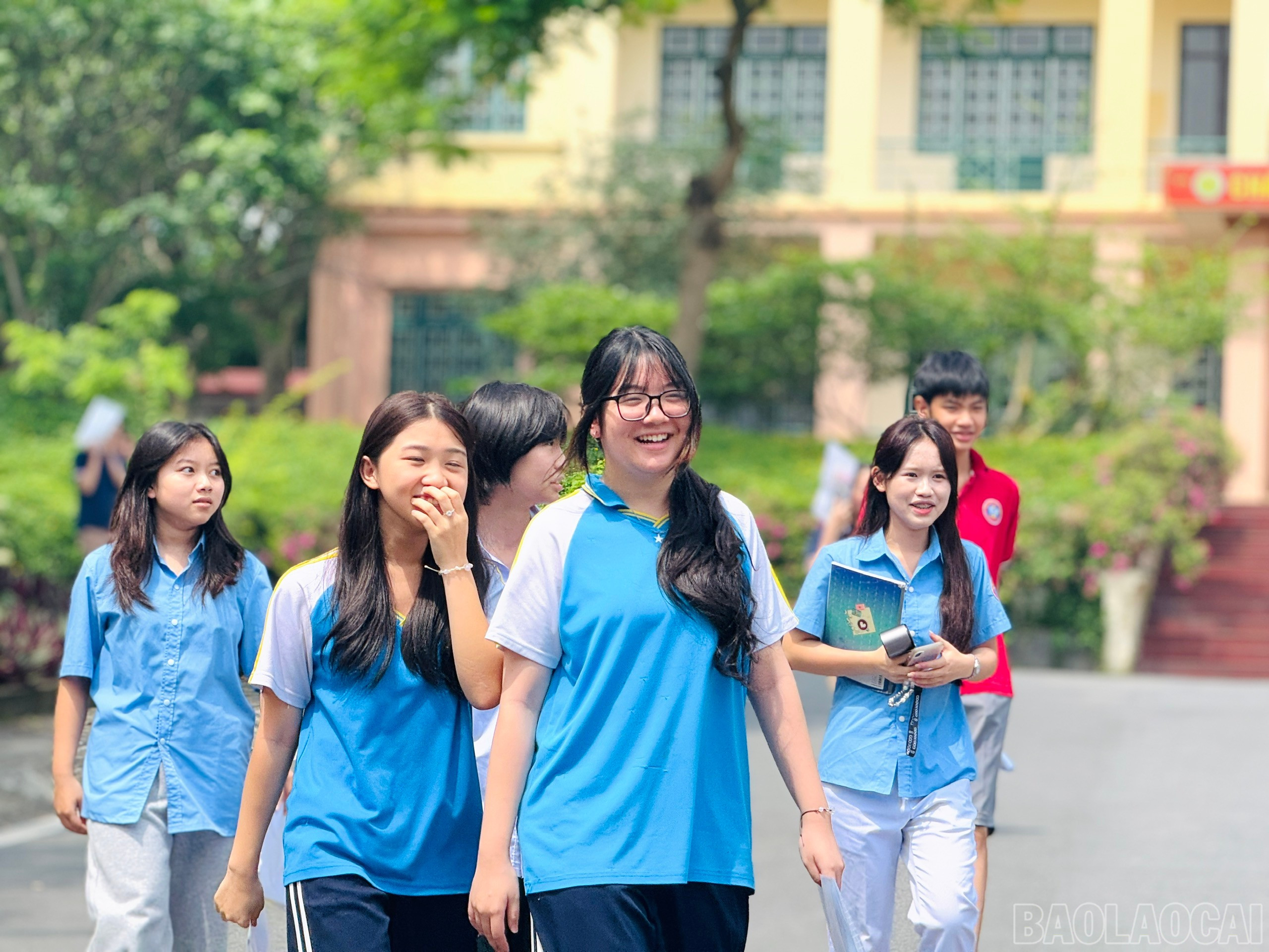 baolaocai-br_z6677263785903-2fcc9e9b9e0cf3c378fa1797f1a1bf0e.jpg