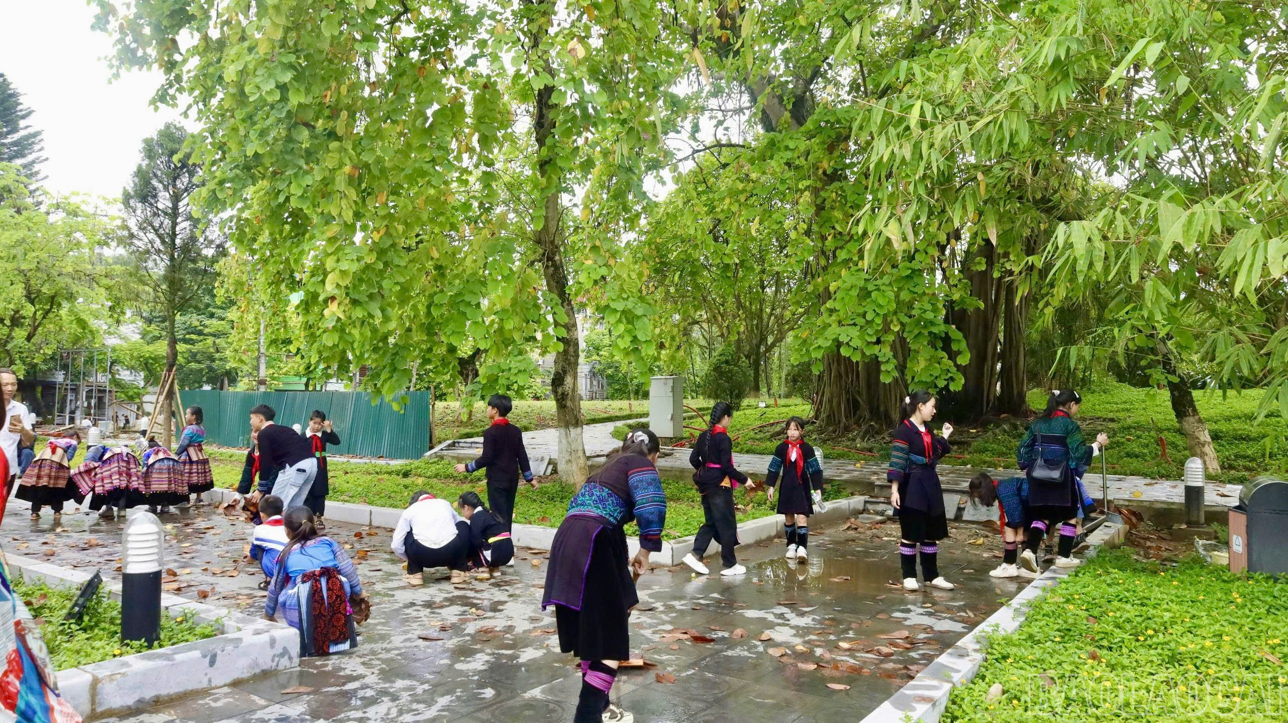 baolaocai-br_z6654574033863-f1bdce89932f28ed021a0b34558fe952.jpg