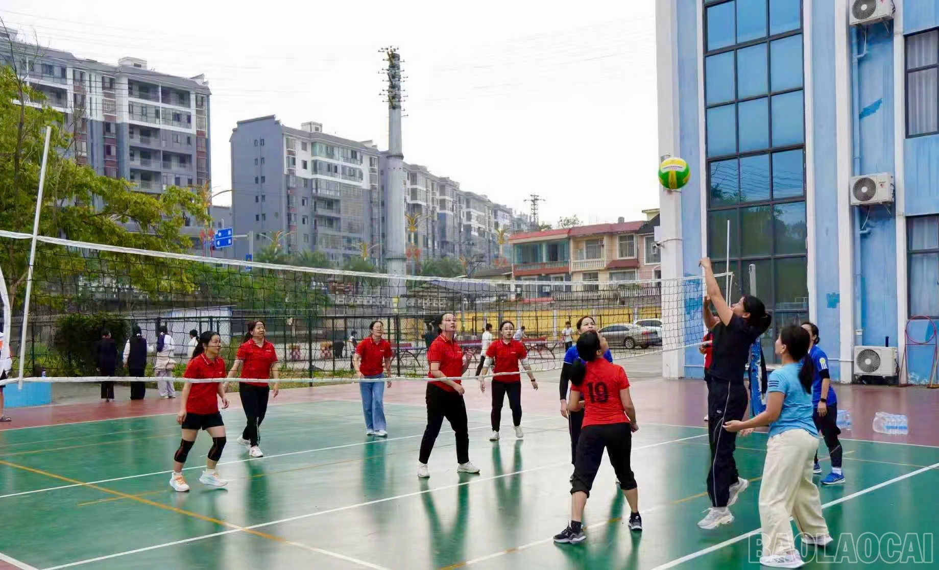 baolaocai-br_z7385730287495-d739aebc1ef76c963eaee3eaf94e975d.jpg