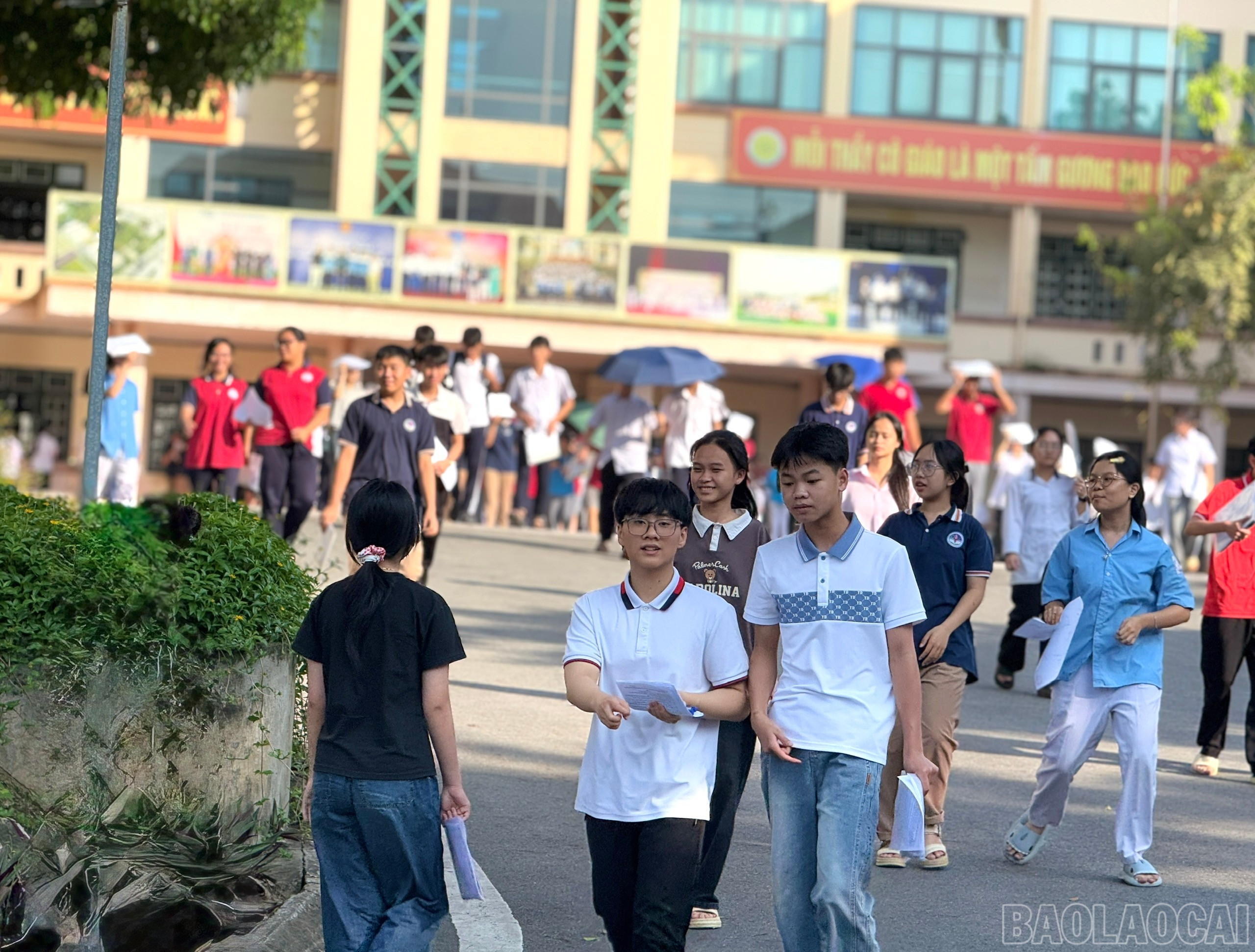 baolaocai-br_z6675483819585-af609ab72f96d995c3567db8bc410d38.jpg
