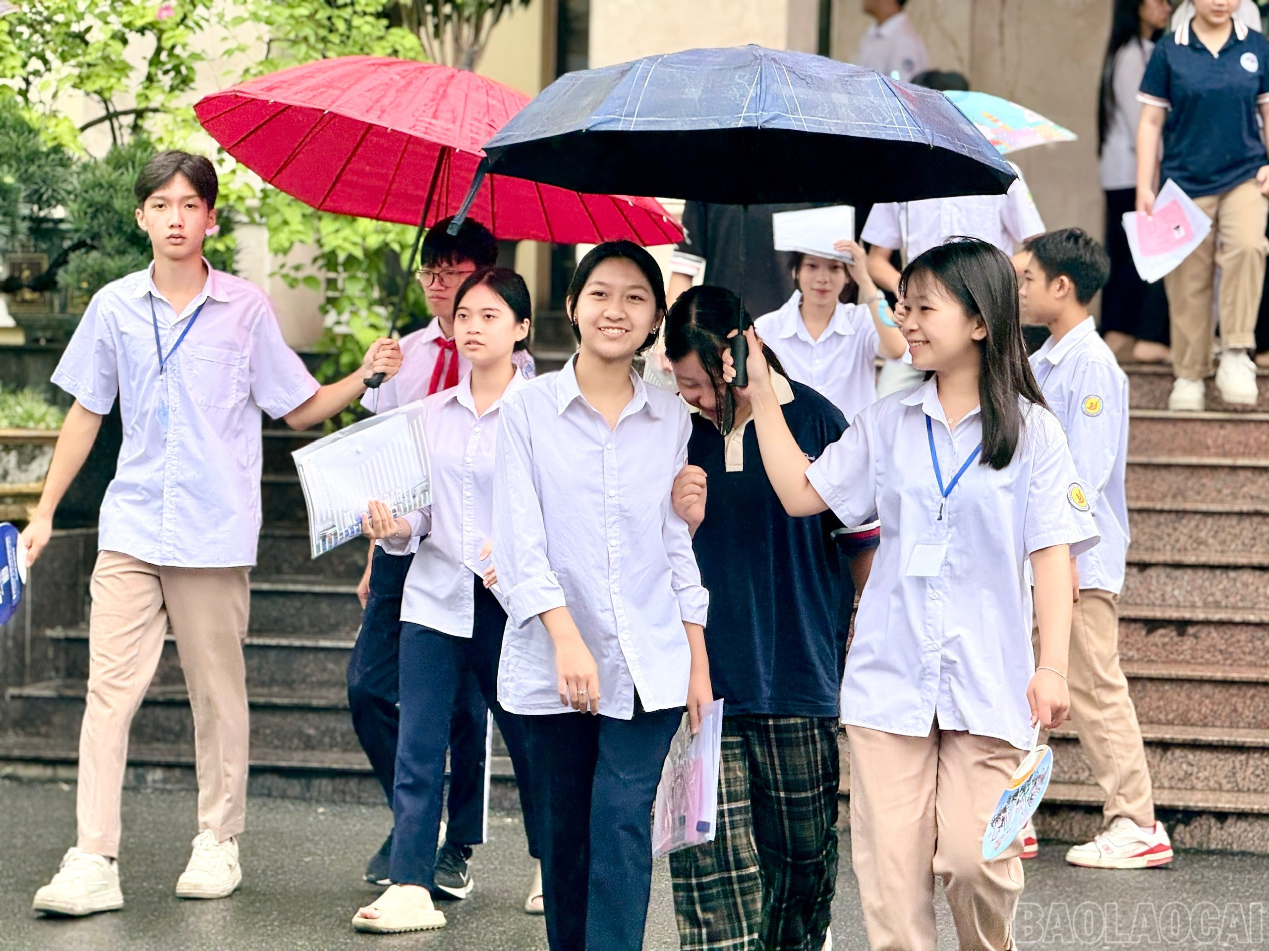 baolaocai-br_z6673596541717-dba8a6e33709c4cbd69d640cf51a6d44.jpg