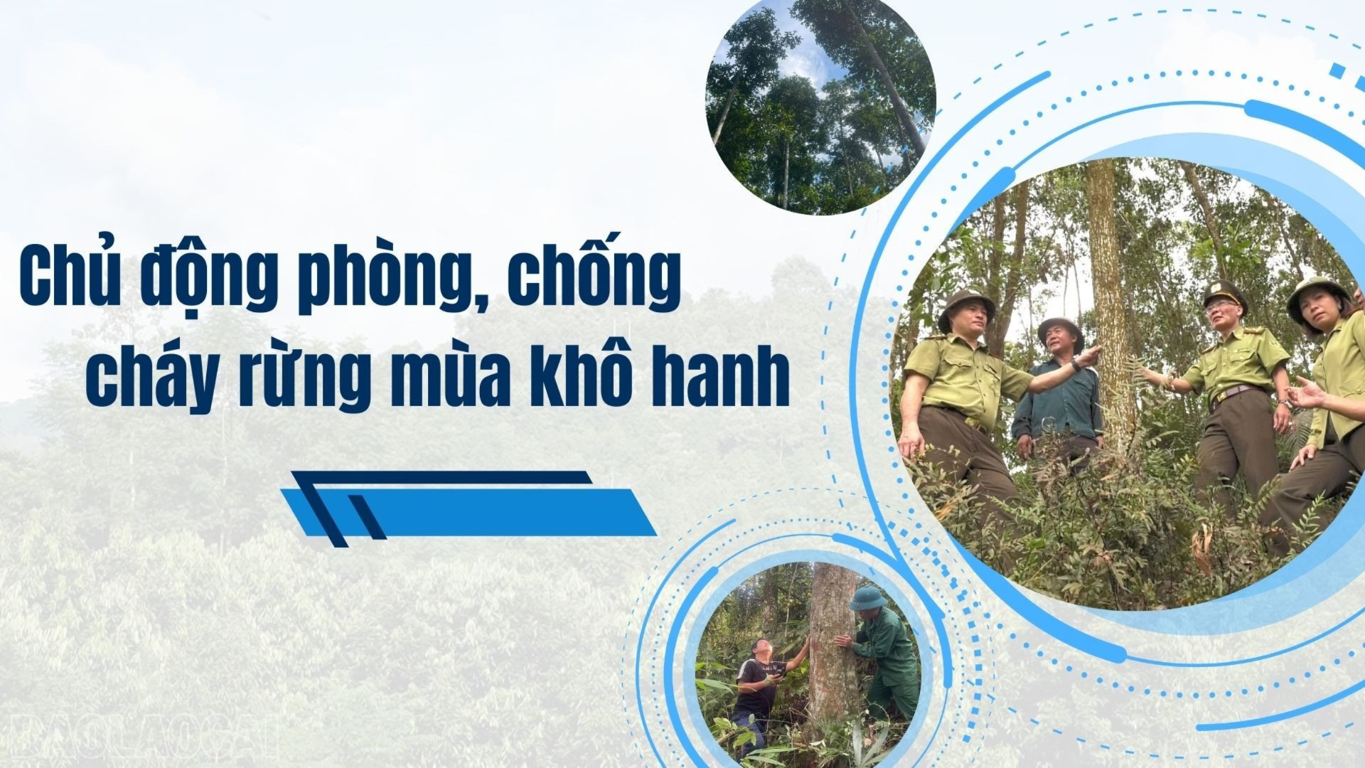 Chủ động phòng, chống cháy rừng mùa khô hanh