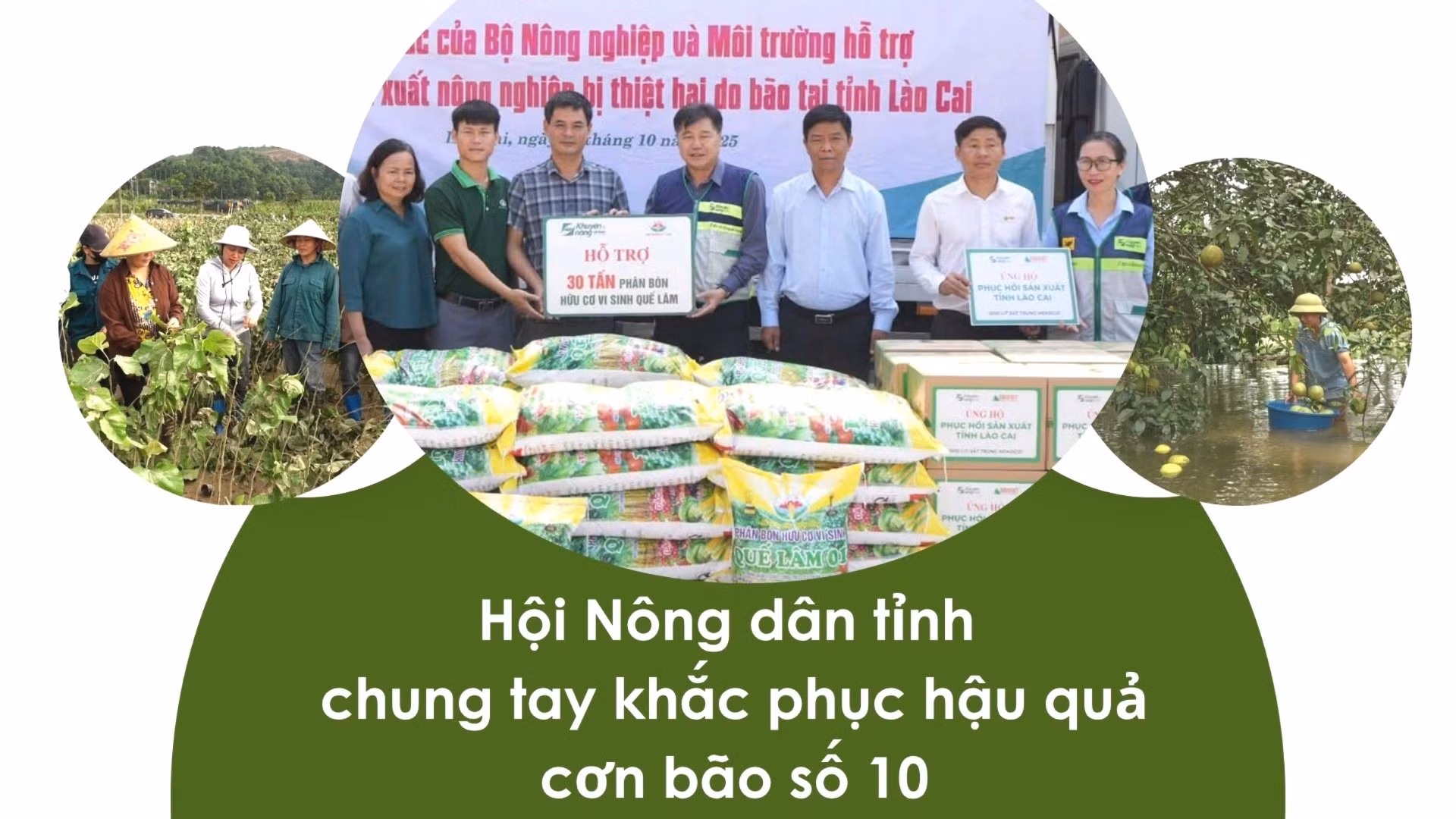 Hội Nông dân tỉnh chung tay khắc phục hậu quả cơn bão số 10