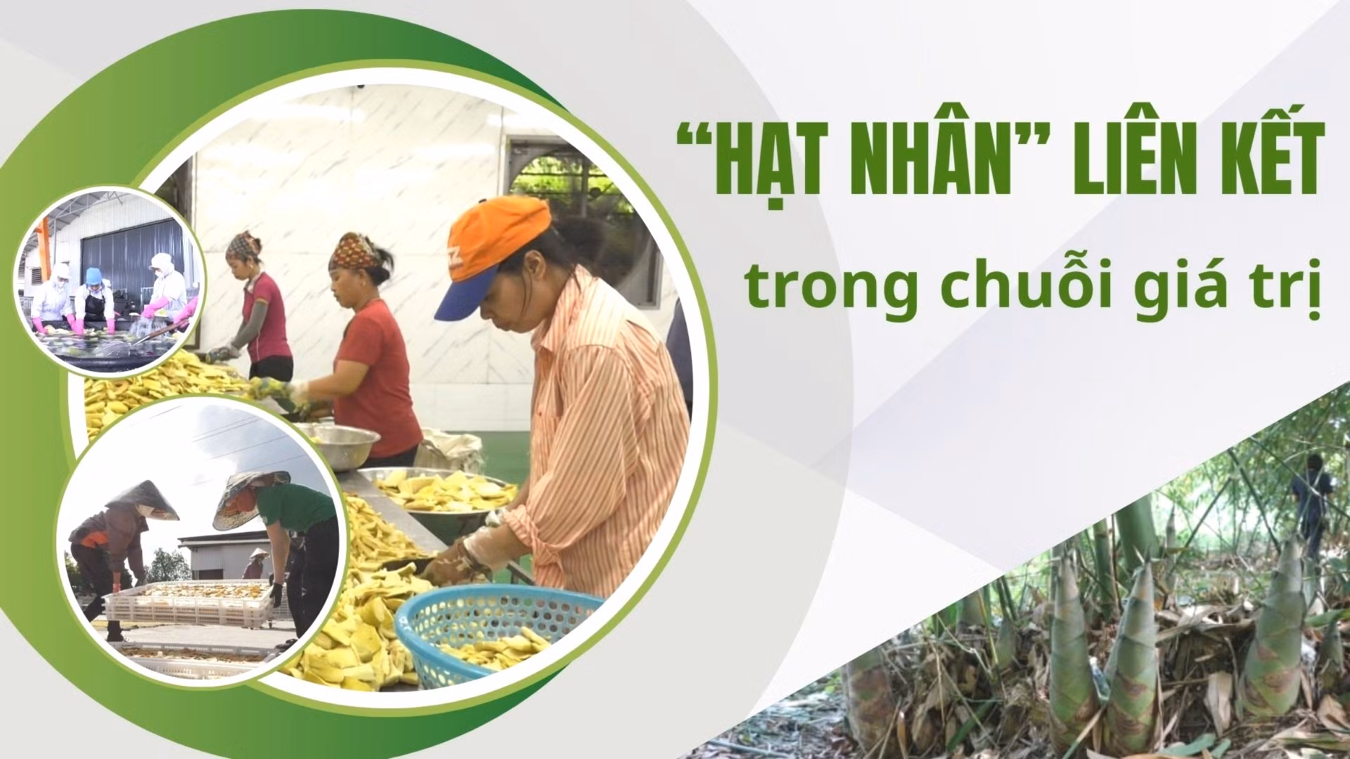 “Hạt nhân” liên kết trong chuỗi giá trị