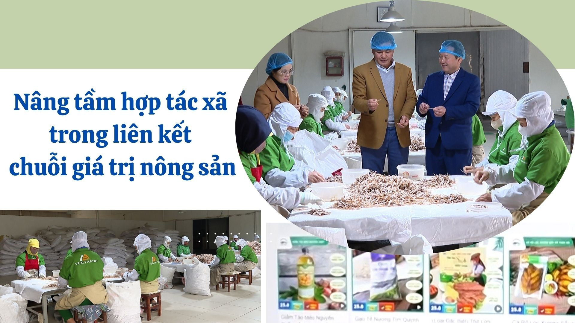 Nâng tầm hợp tác xã trong liên kết chuỗi giá trị nông sản