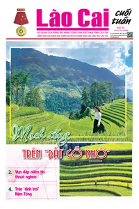 Báo Lào Cai Cuối tuần số 31 ra ngày 31/1/2026