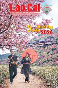 Báo Lào Cai Vùng cao - Xuân Bính Ngọ 2026