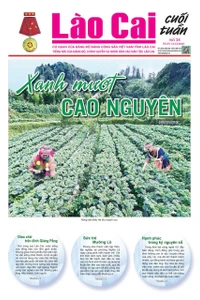 Báo Lào Cai Cuối tuần số 24 ra ngày 13/12/2025