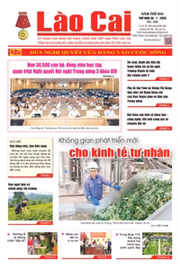 Báo Lào Cai Thường kỳ số 266 ra ngày 30/7/2026