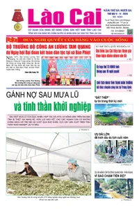 Báo Lào Cai Thường kỳ số 4204 ra ngày 11/11/2024