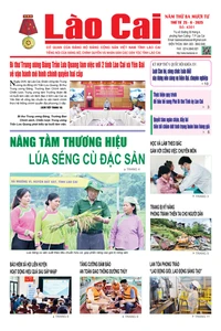 Báo Lào Cai Thường kỳ số 4301 ra ngày 25/6/2025