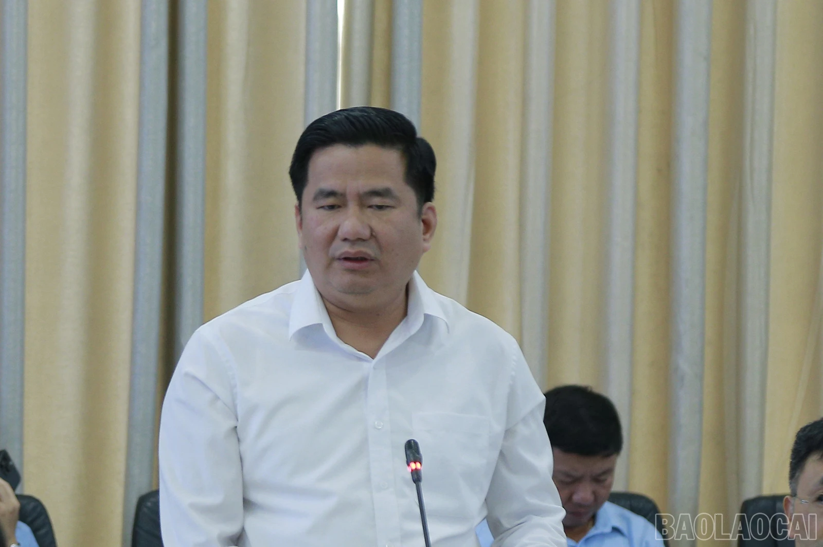 baolaocai_tk (5).JPG