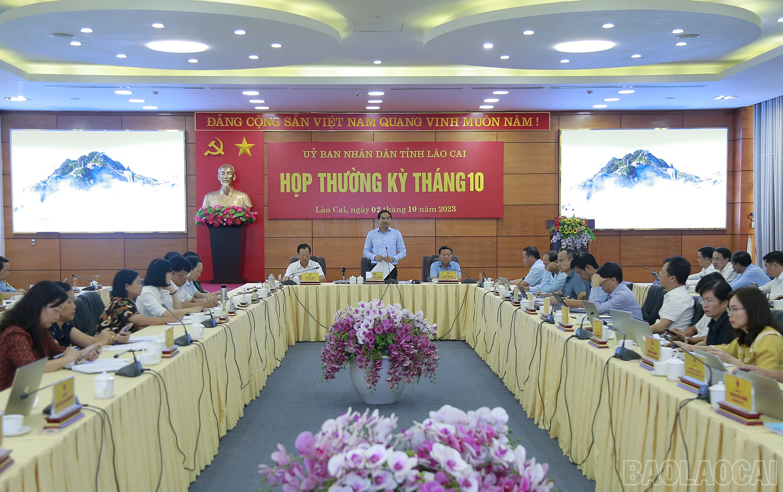 baolaocai_tk (1).JPG