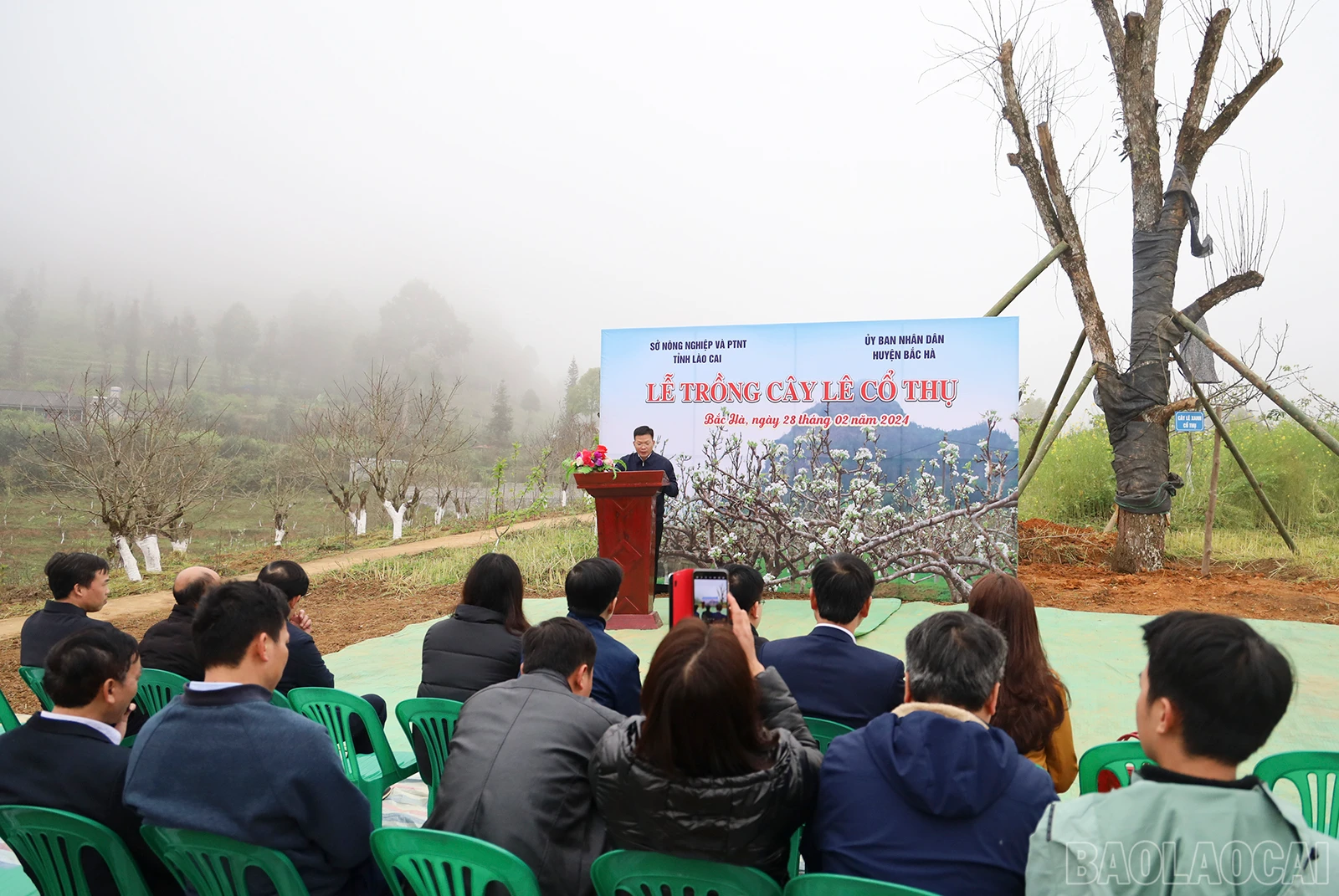 baolaocai_cc (1).JPG