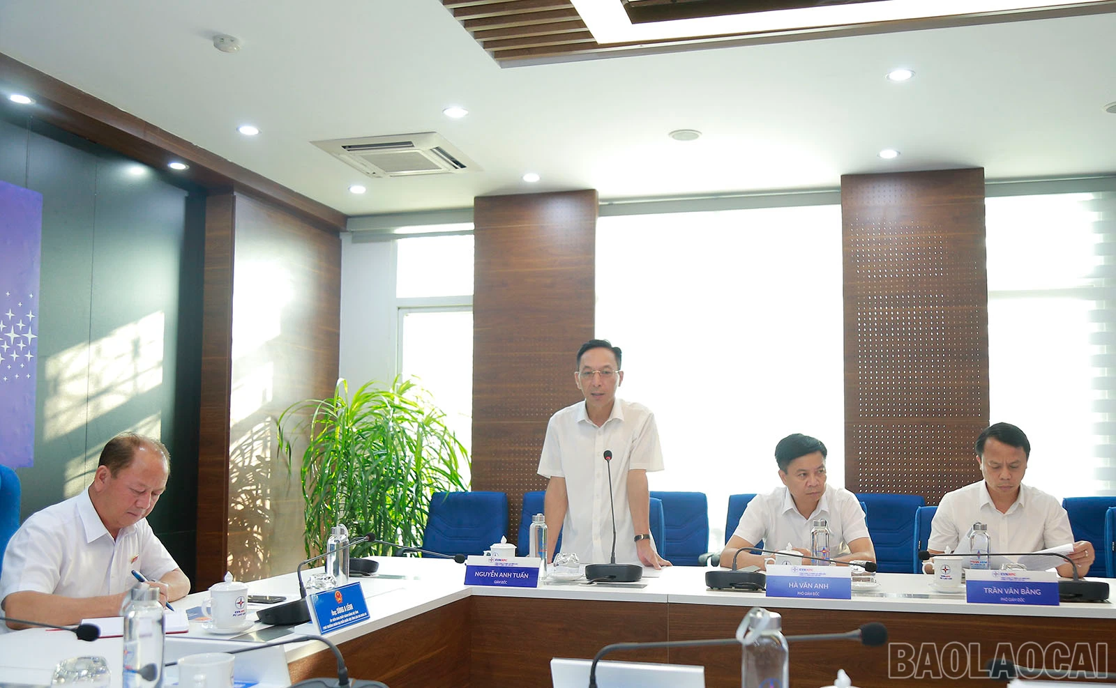 baolaocai_dl (2).JPG