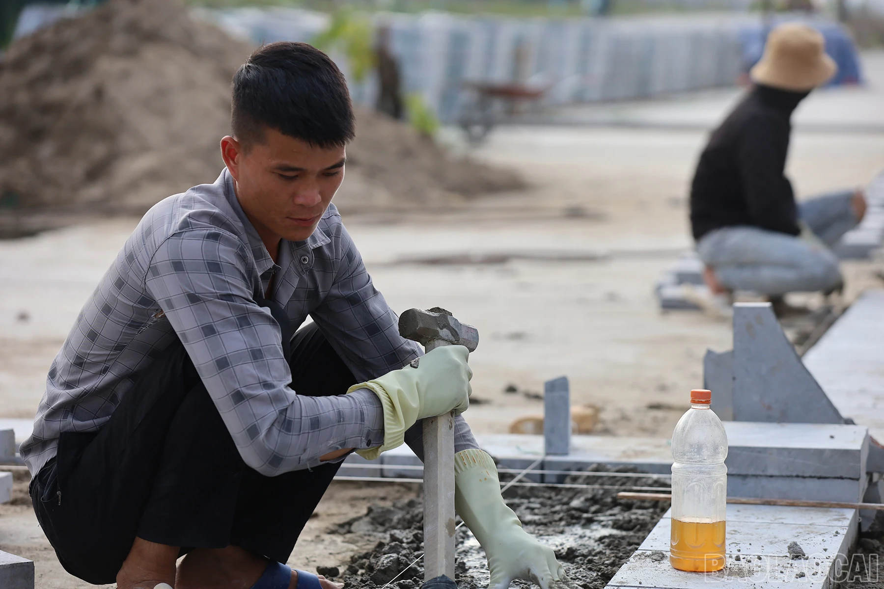 baolaocai_sh (1).JPG