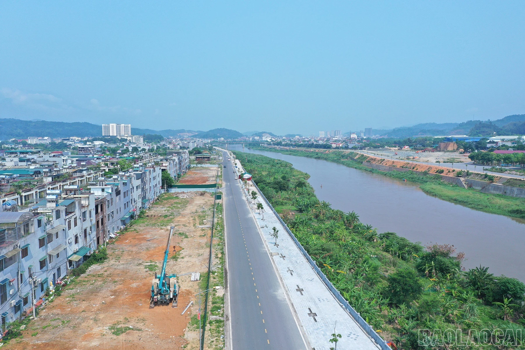 baolaocai_sh (7).jpg