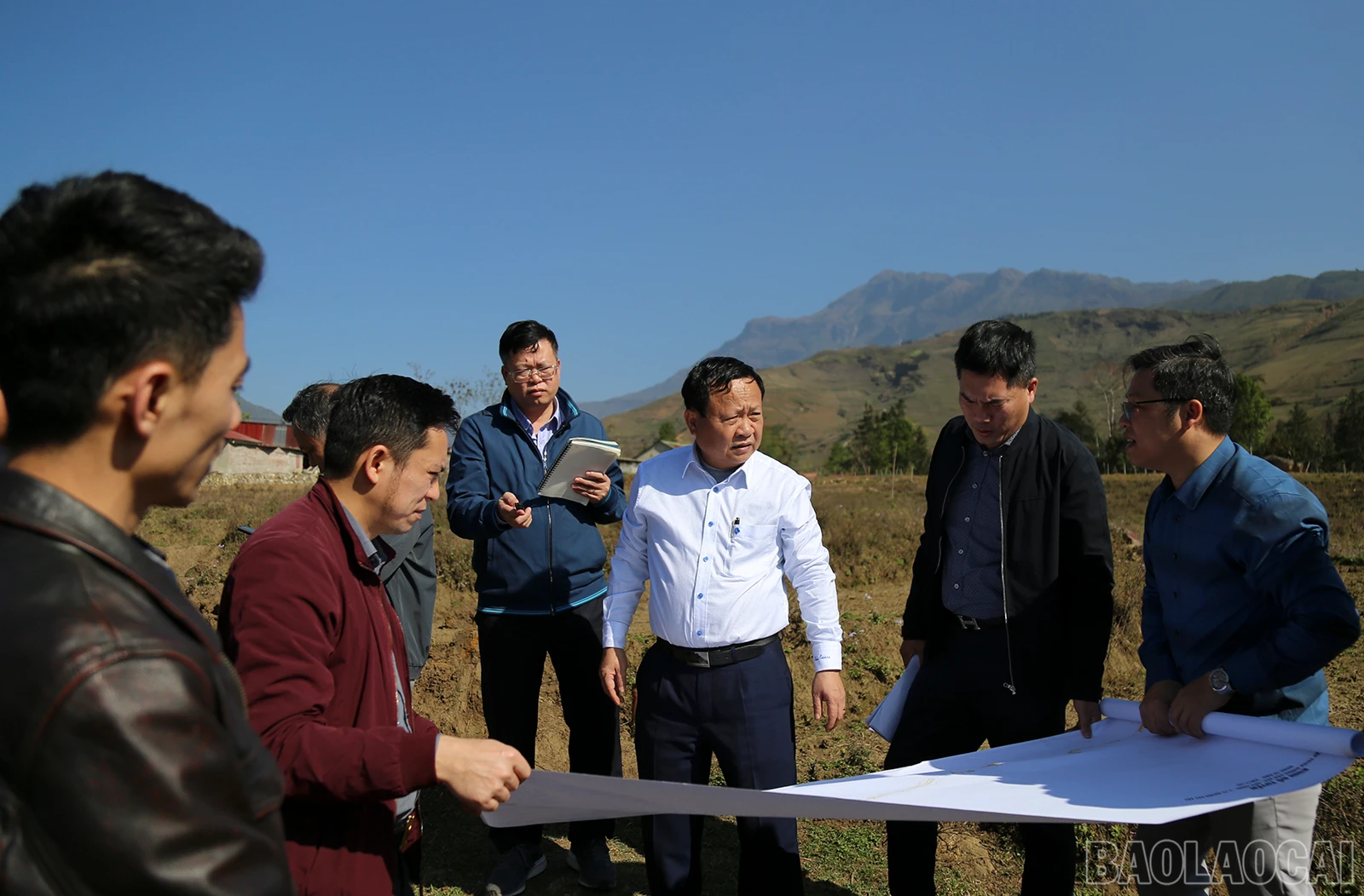 baolaocai_nth (2).jpg