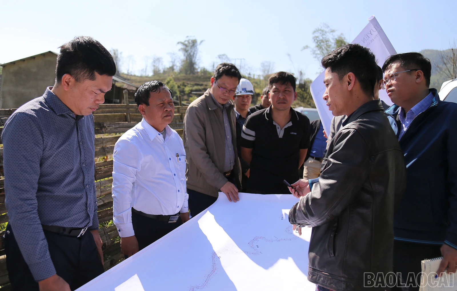 baolaocai_nth (3).jpg