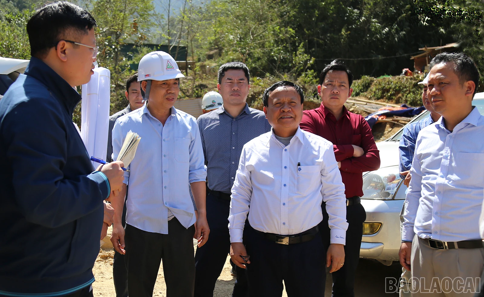 baolaocai_nth (5).jpg