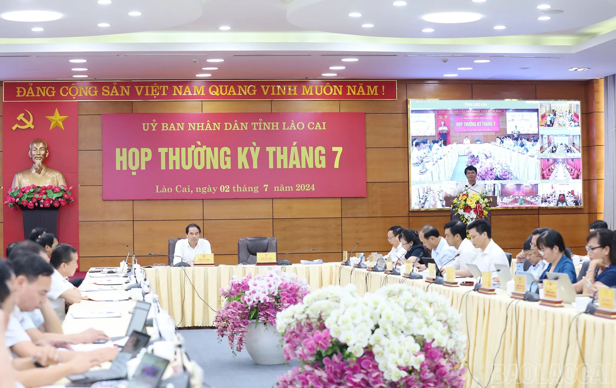 baolaocai_tk (6).JPG