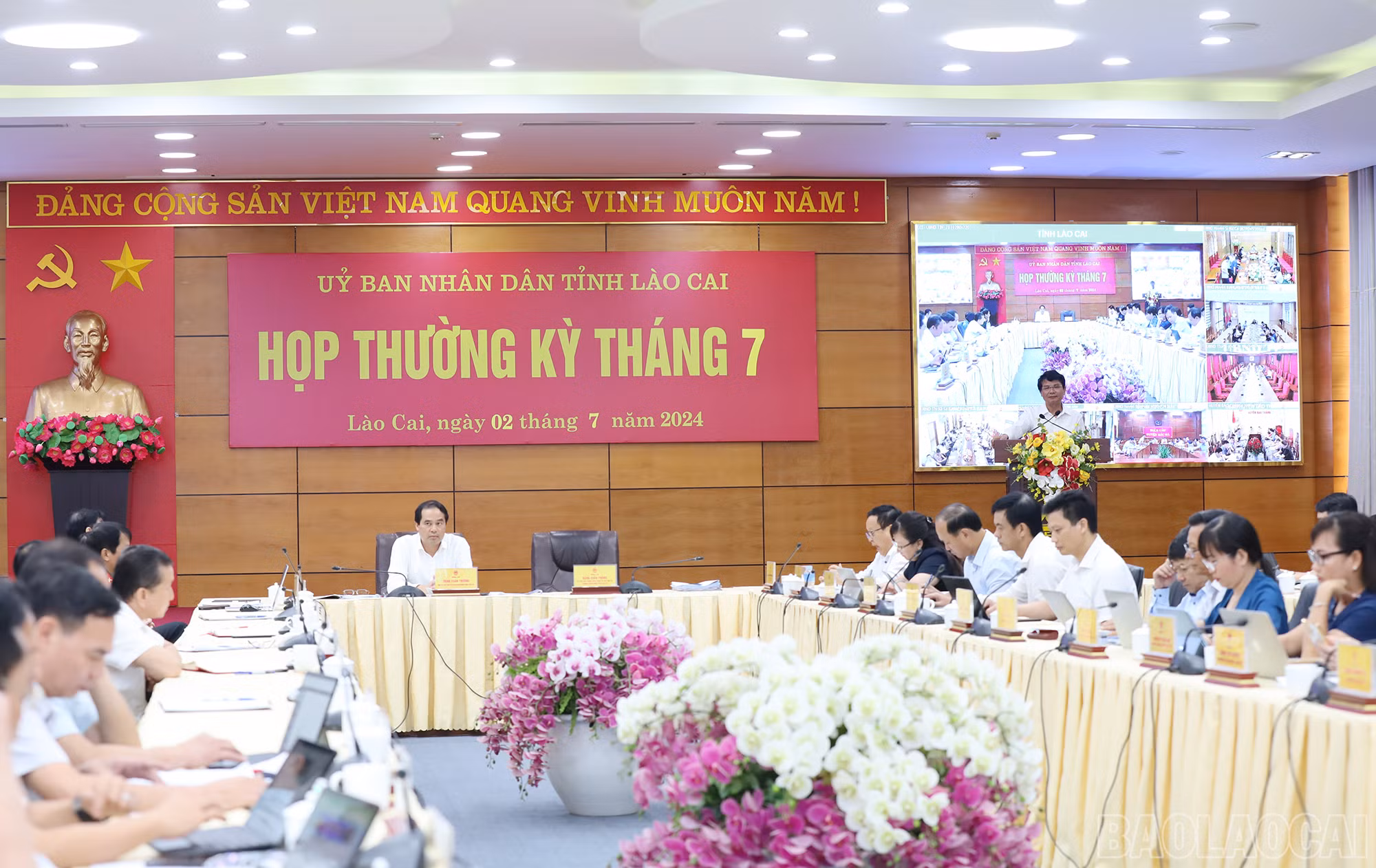 baolaocai_tk (6).JPG