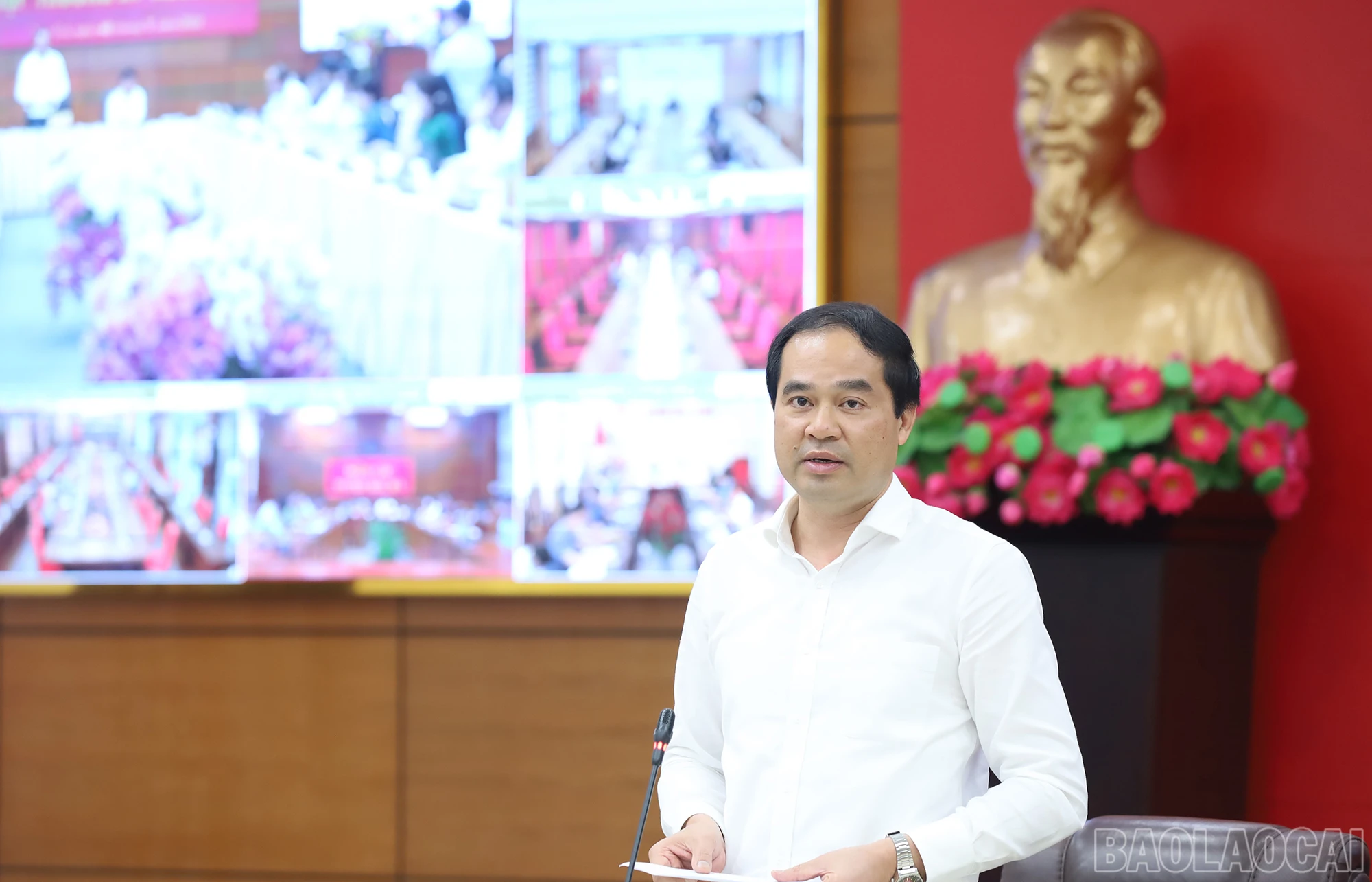 baolaocai_tk (2).JPG